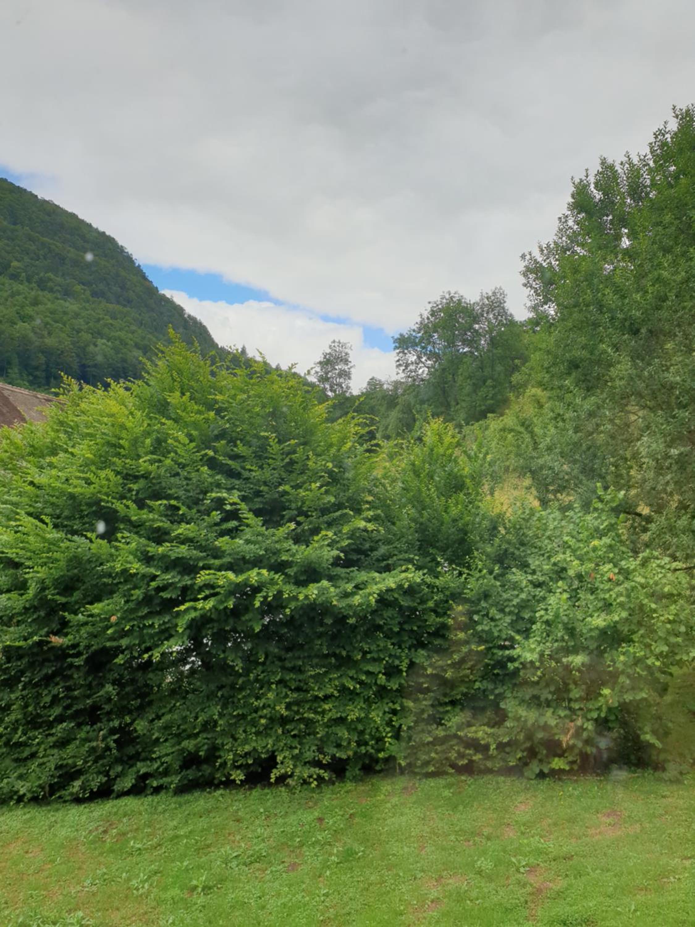 Agréable chambre d'hôtes, au calme, dans la nature