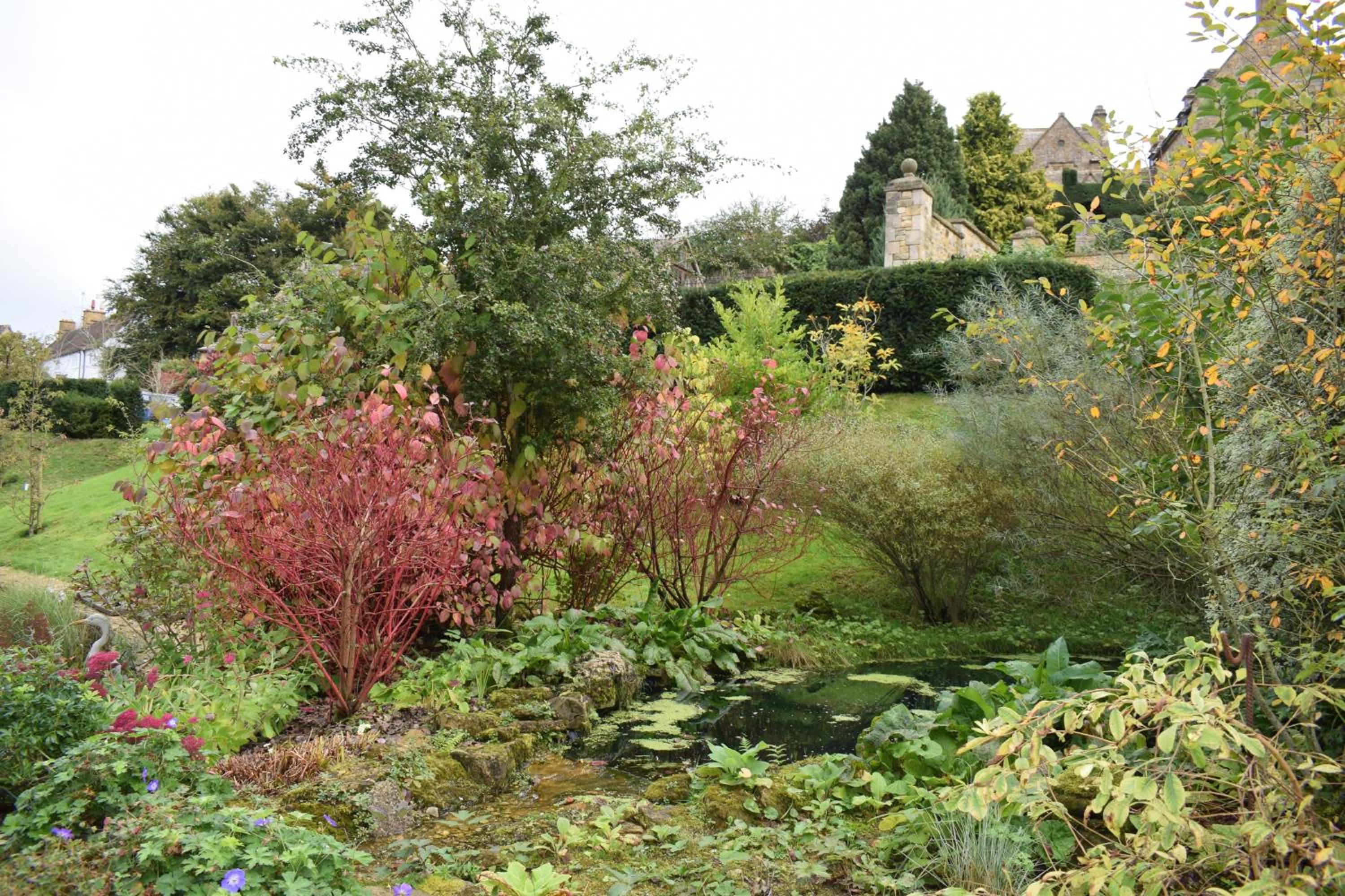 Photo 12