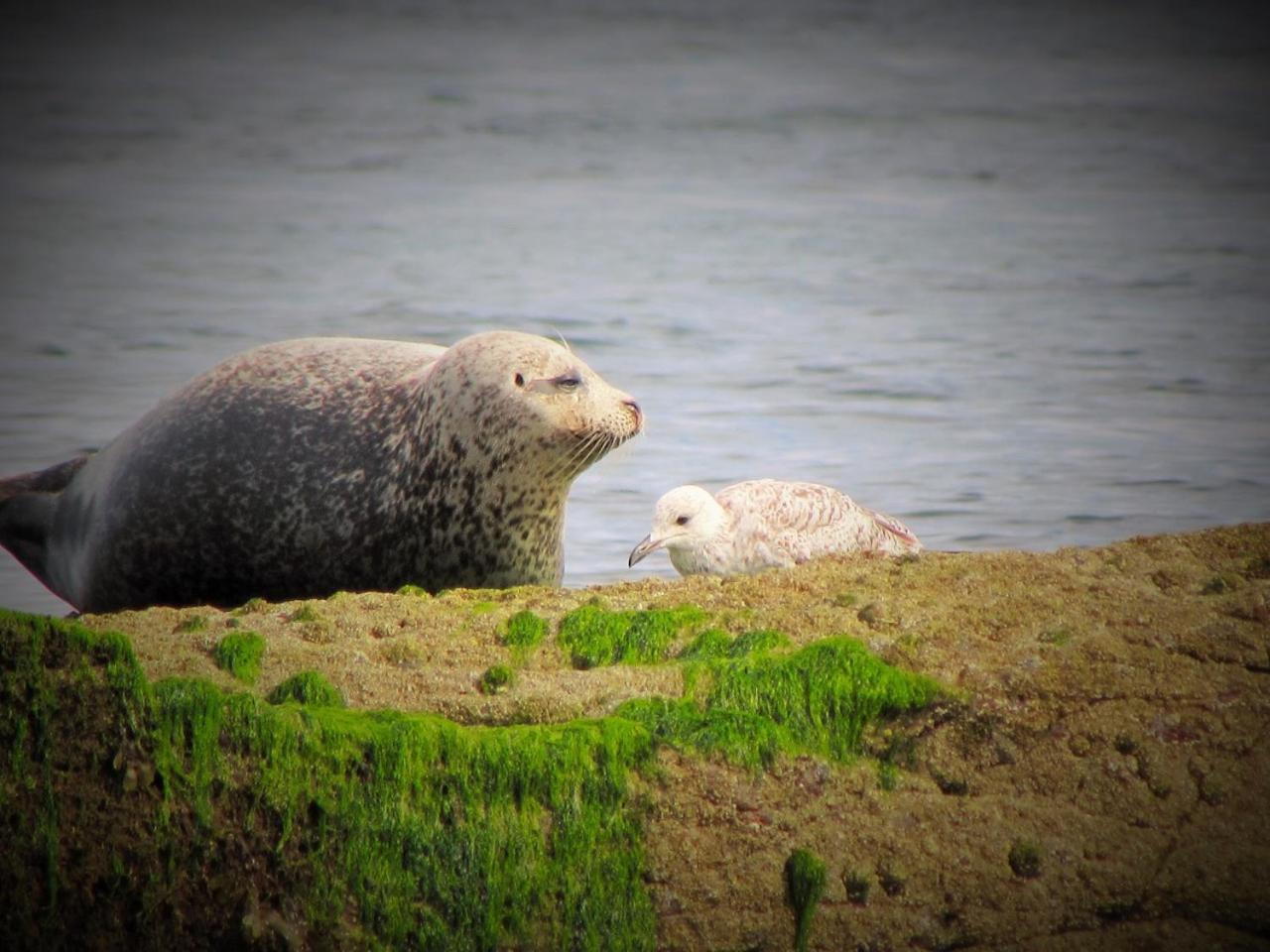 Photo 44