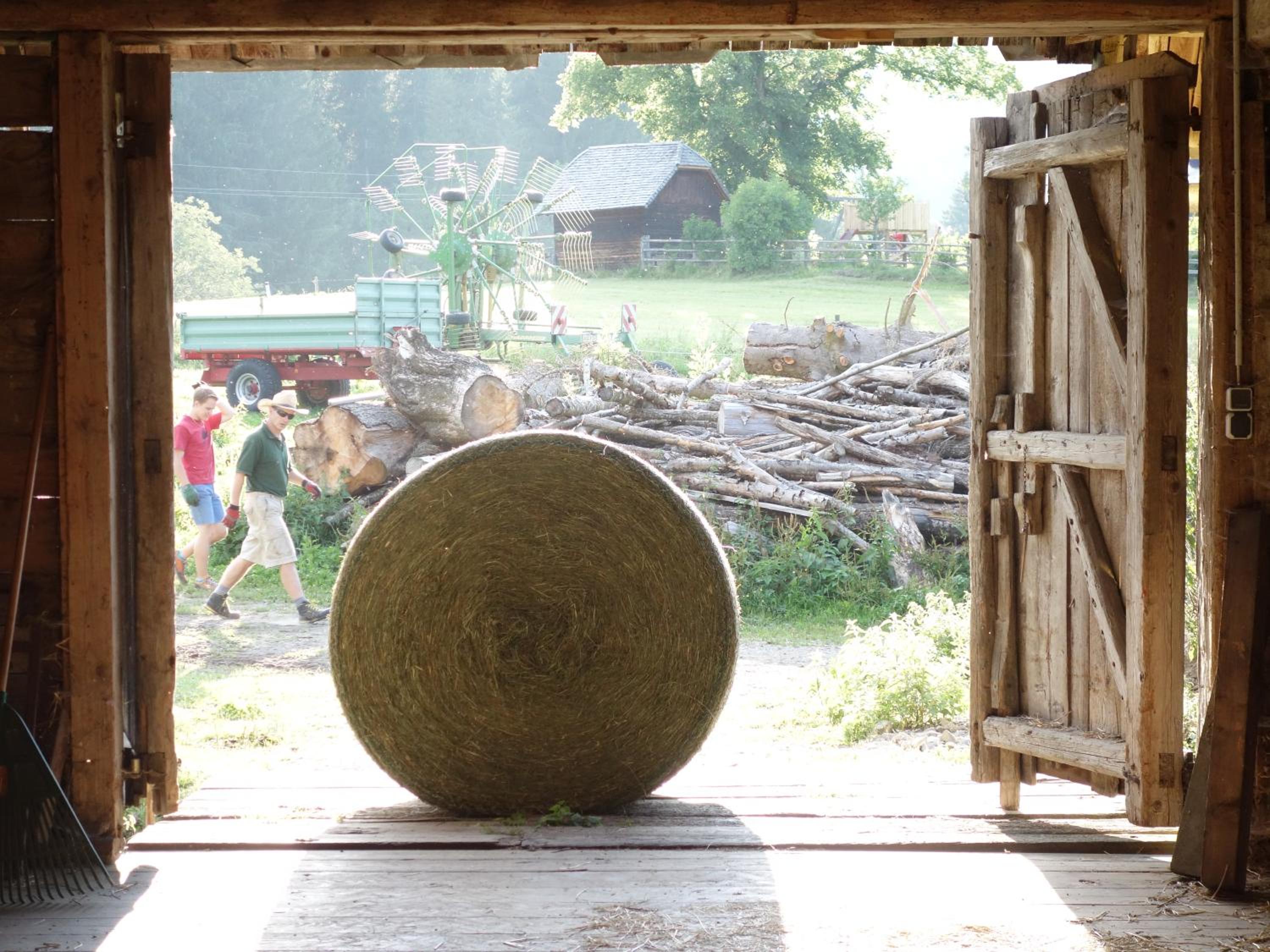 Urlaub am Bio-Bauernhof Liebchen
