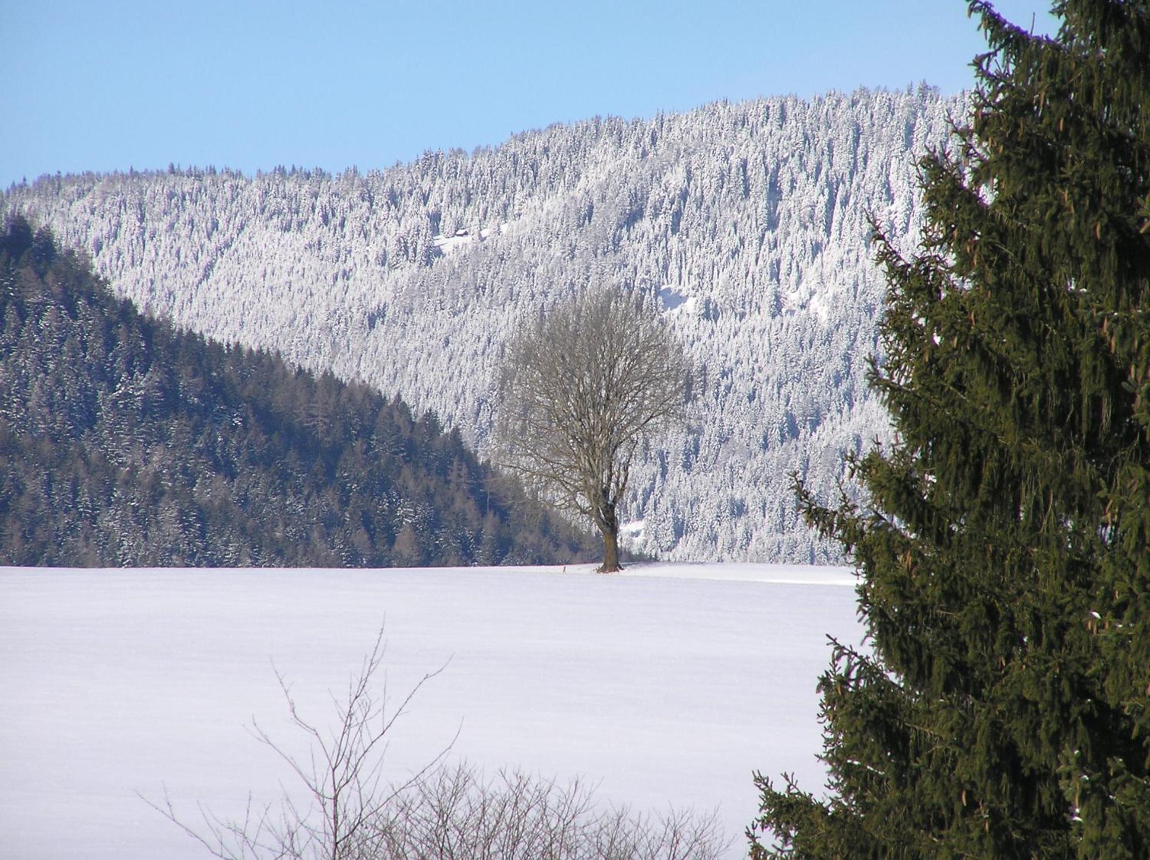 Urlaub am Bio-Bauernhof Liebchen