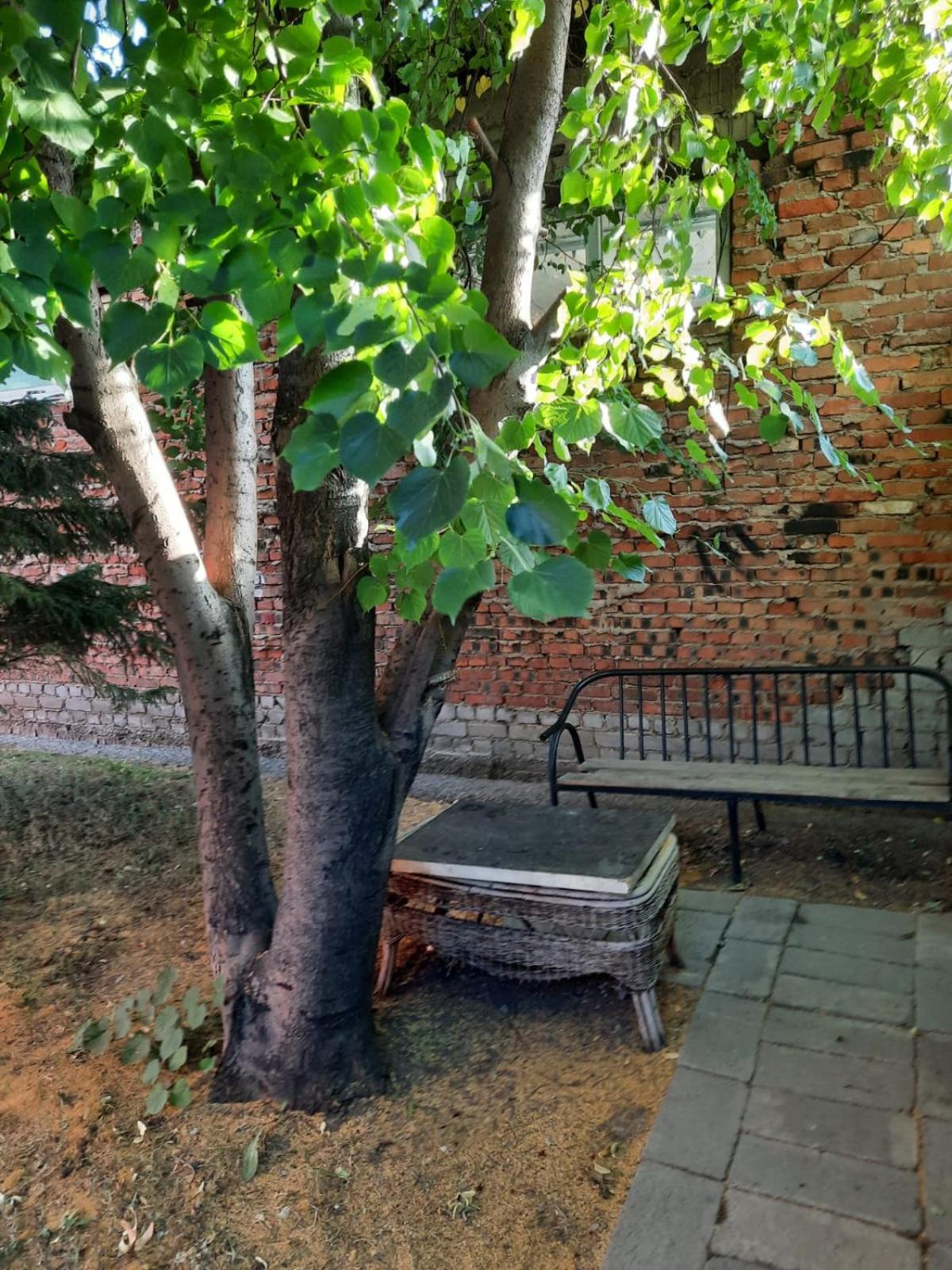 Photo 13