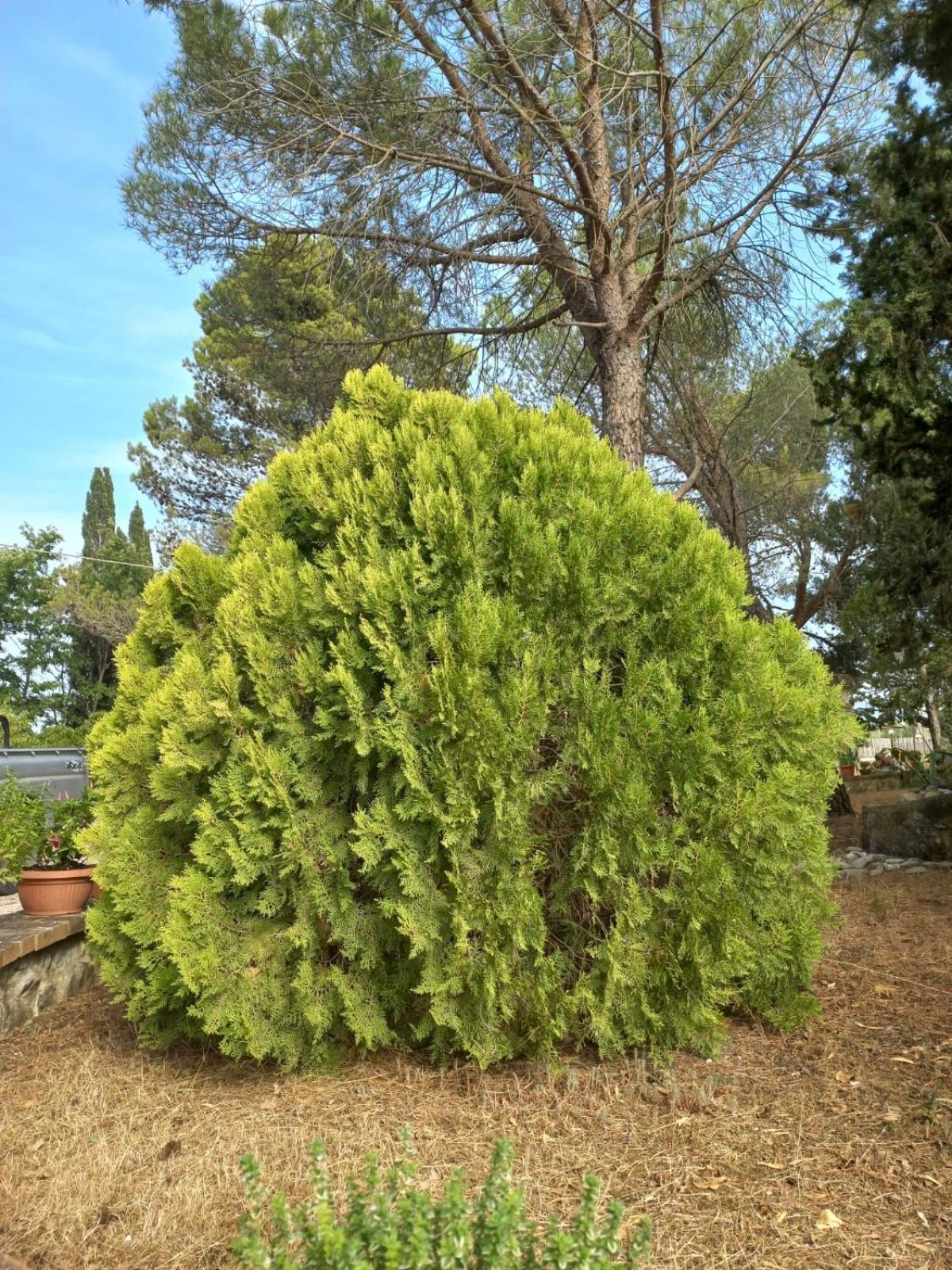 Photo 20