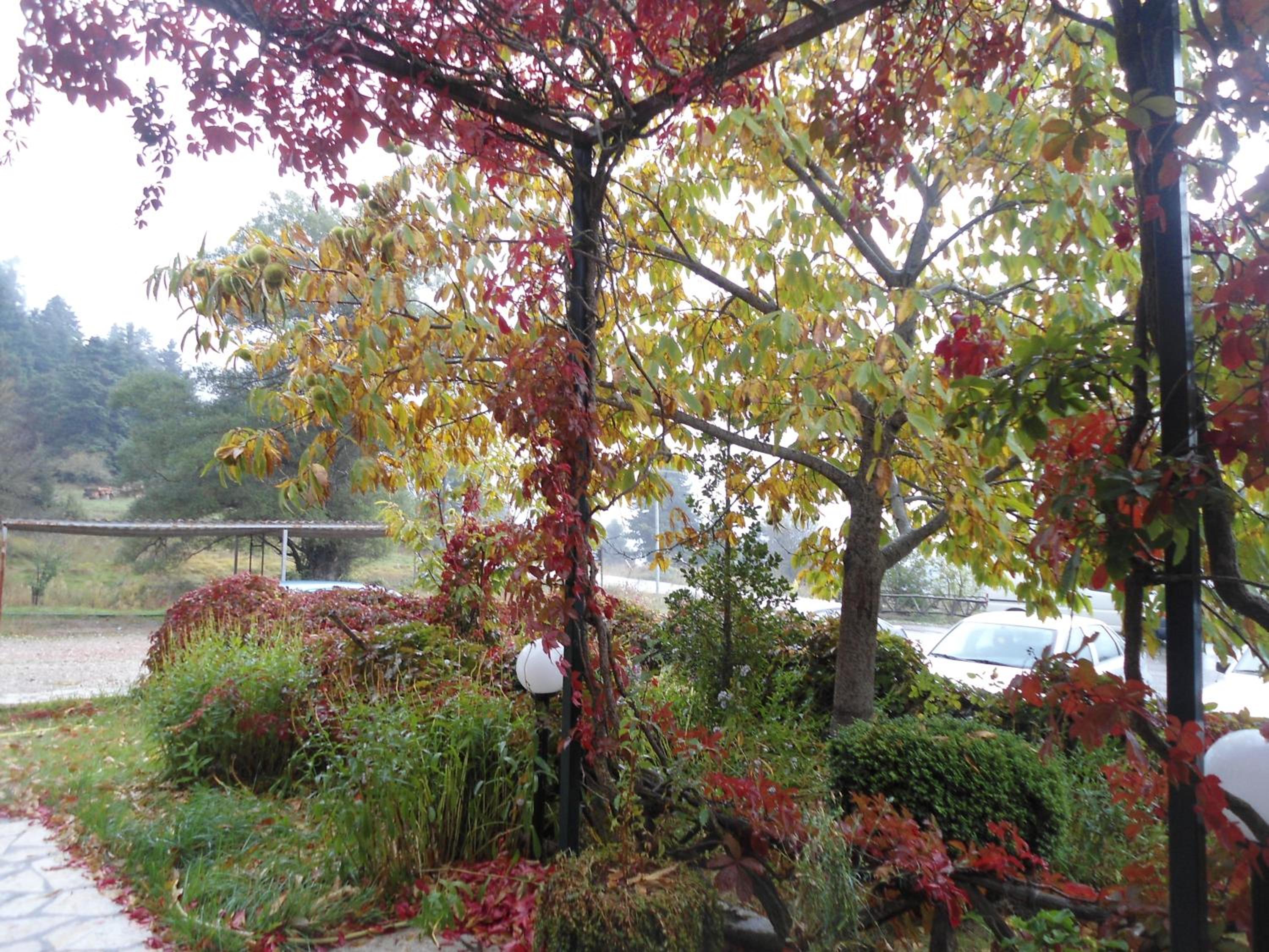 Photo 27