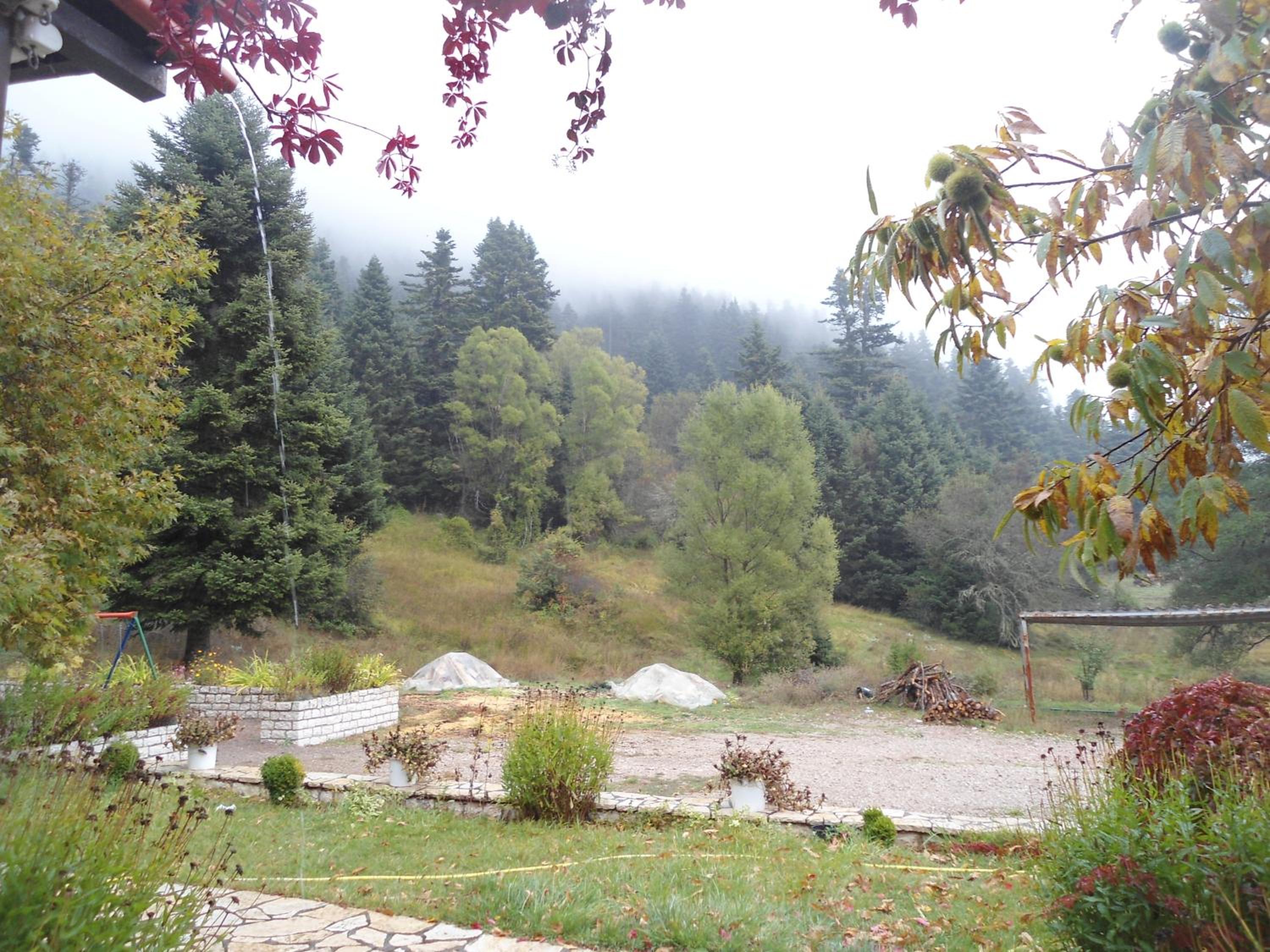 Photo 26