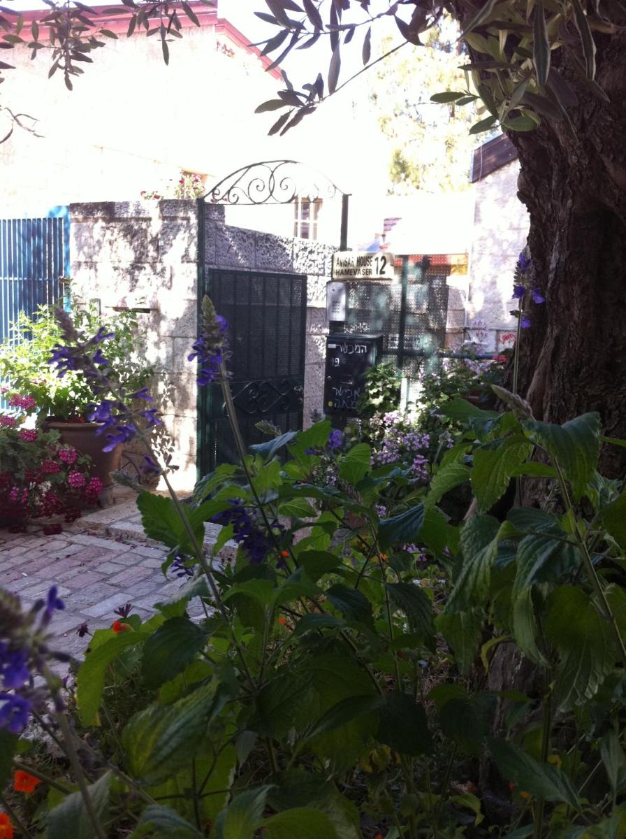 Photo 20