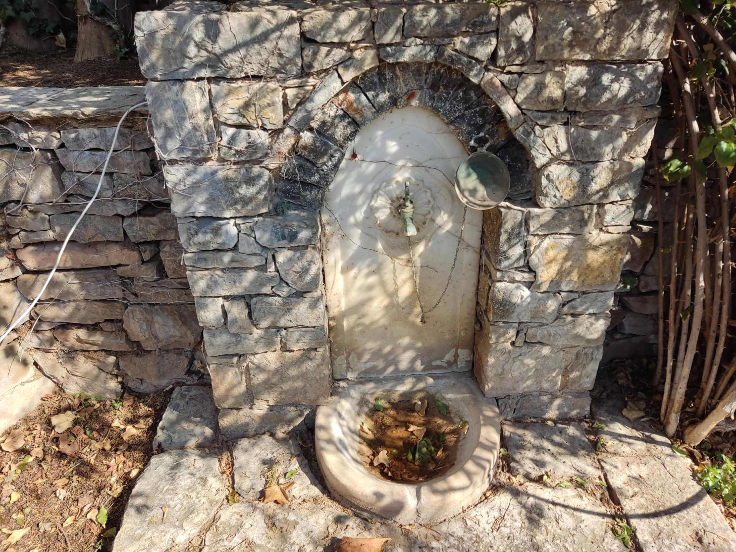 Photo 47