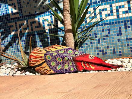 HIGOS CHUMBOS, CASA RURAL COMPARTIDO