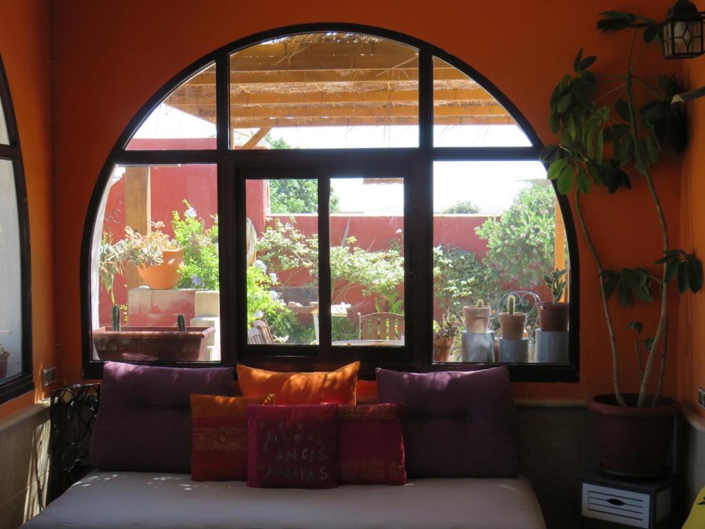 HIGOS CHUMBOS, CASA RURAL COMPARTIDO