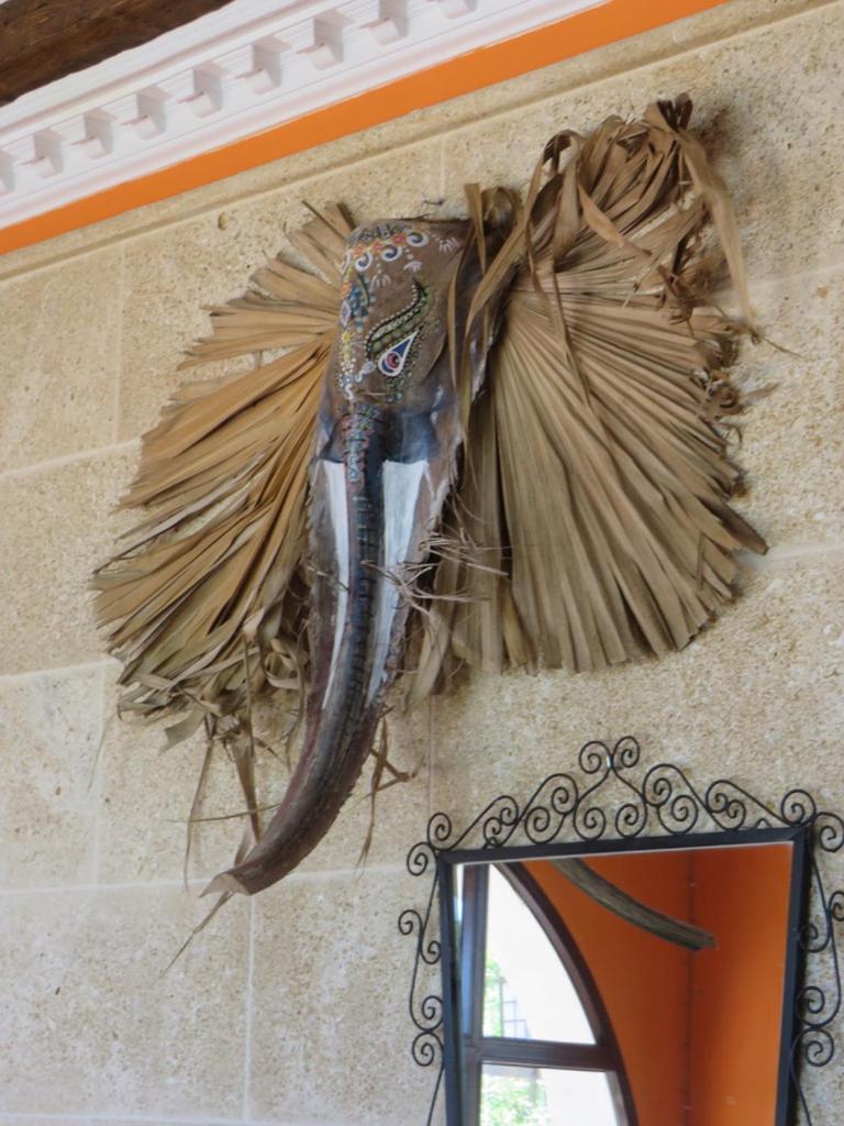 HIGOS CHUMBOS, CASA RURAL COMPARTIDO