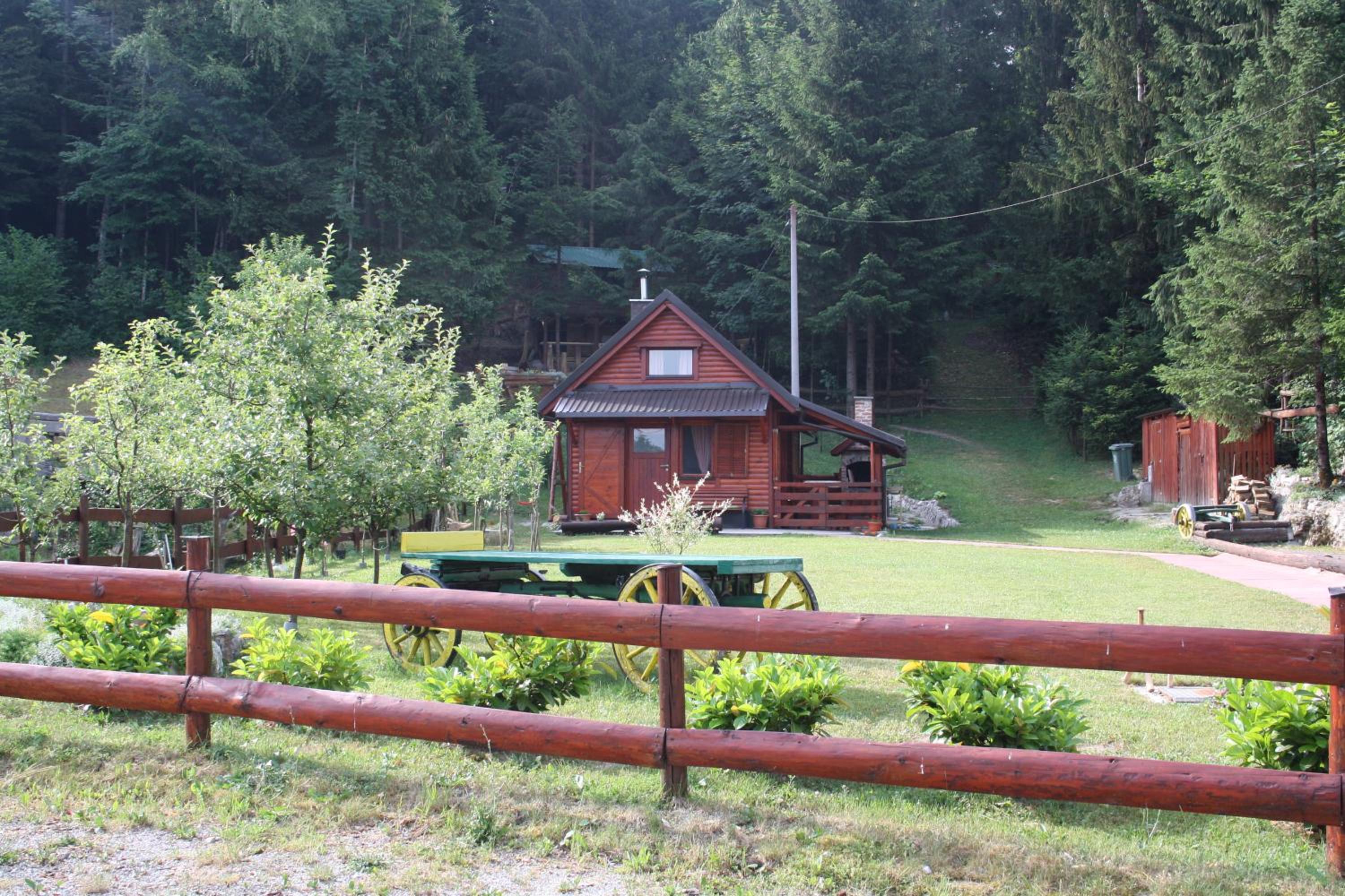Photo 25