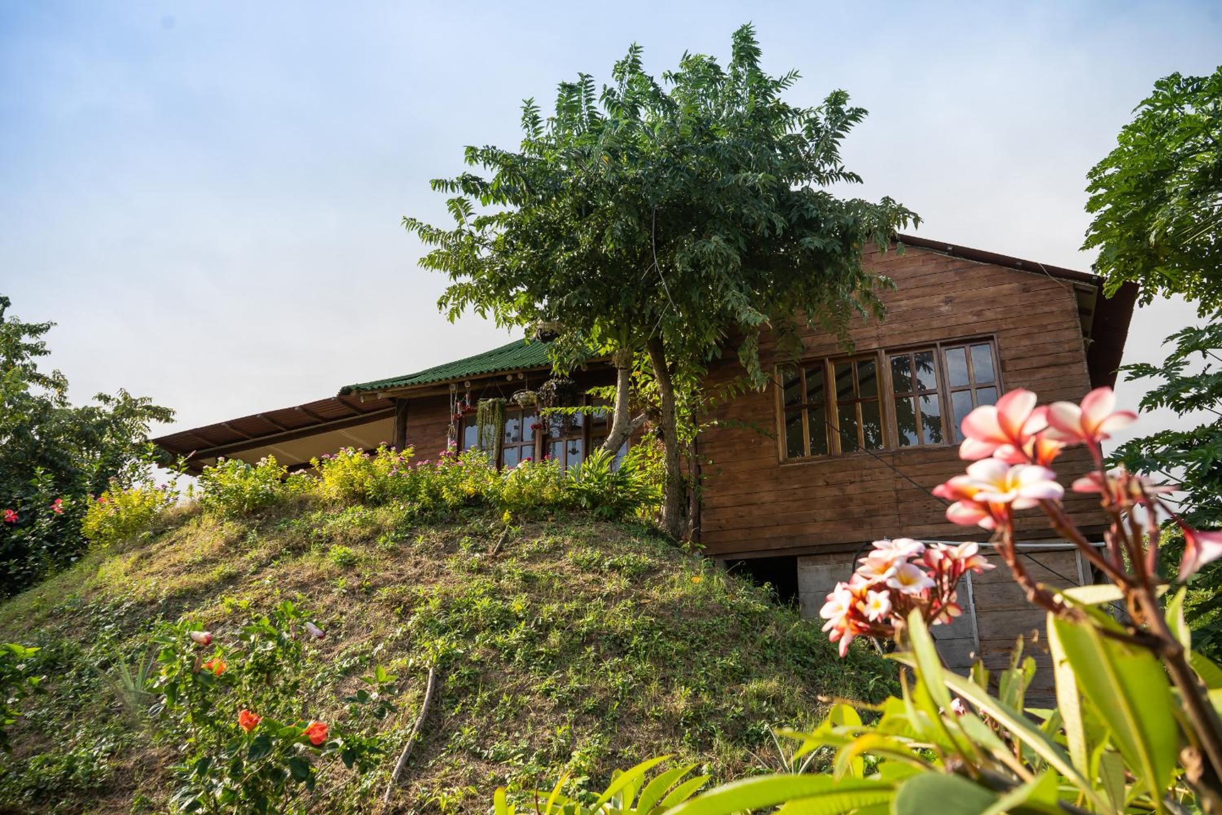 La Casita del Bosque
