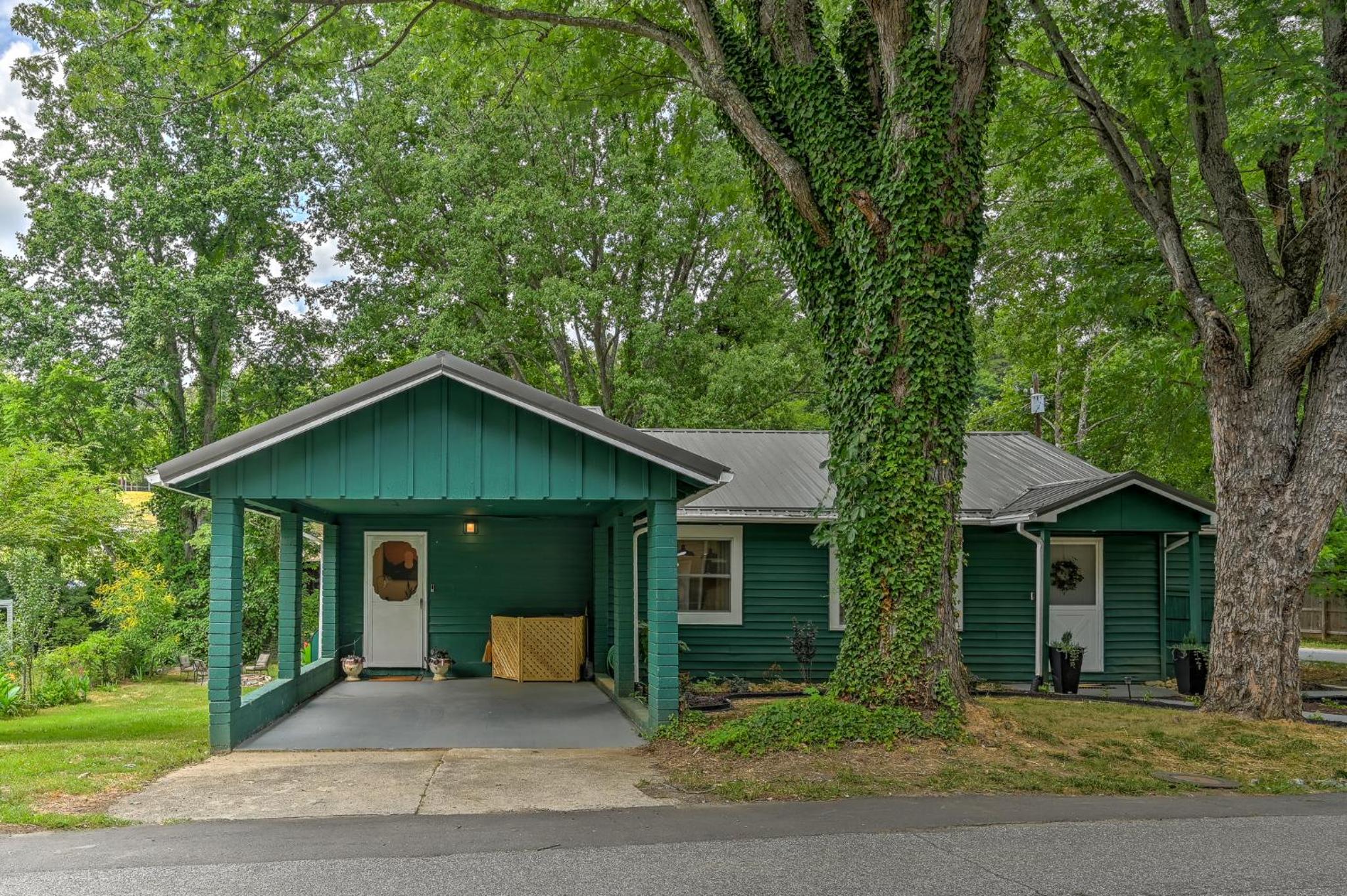 Cozy Love Nest 1BR - minutes to Downtown Asheville view 4