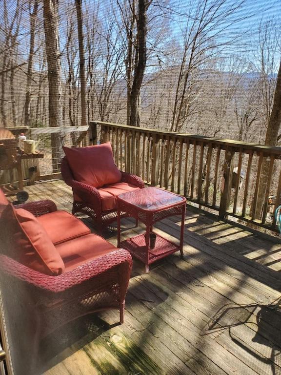 Treehouse Cathedral in Blue Ridge Mountains, NC view 4