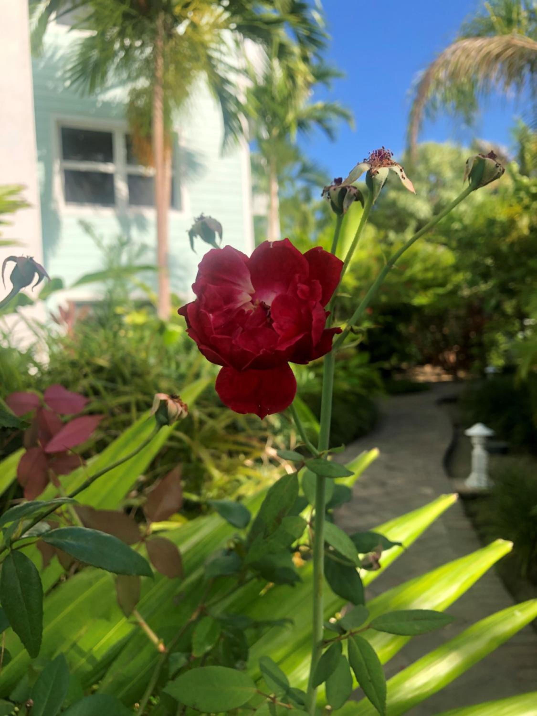 Grand Bahama Island - Freeport Vacations - Dolphin Cove - Property Image 5