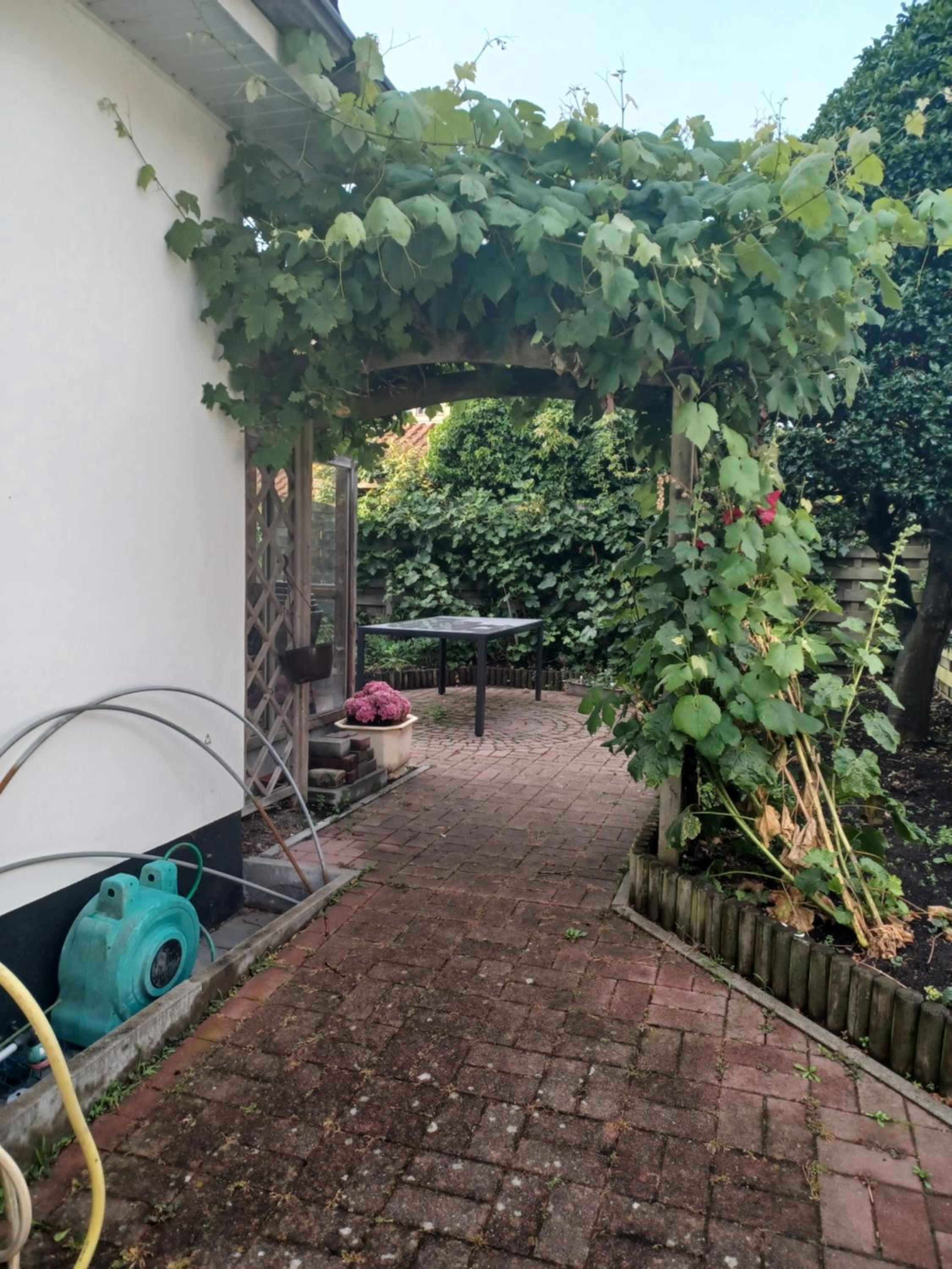 Villa Elsjes Droom