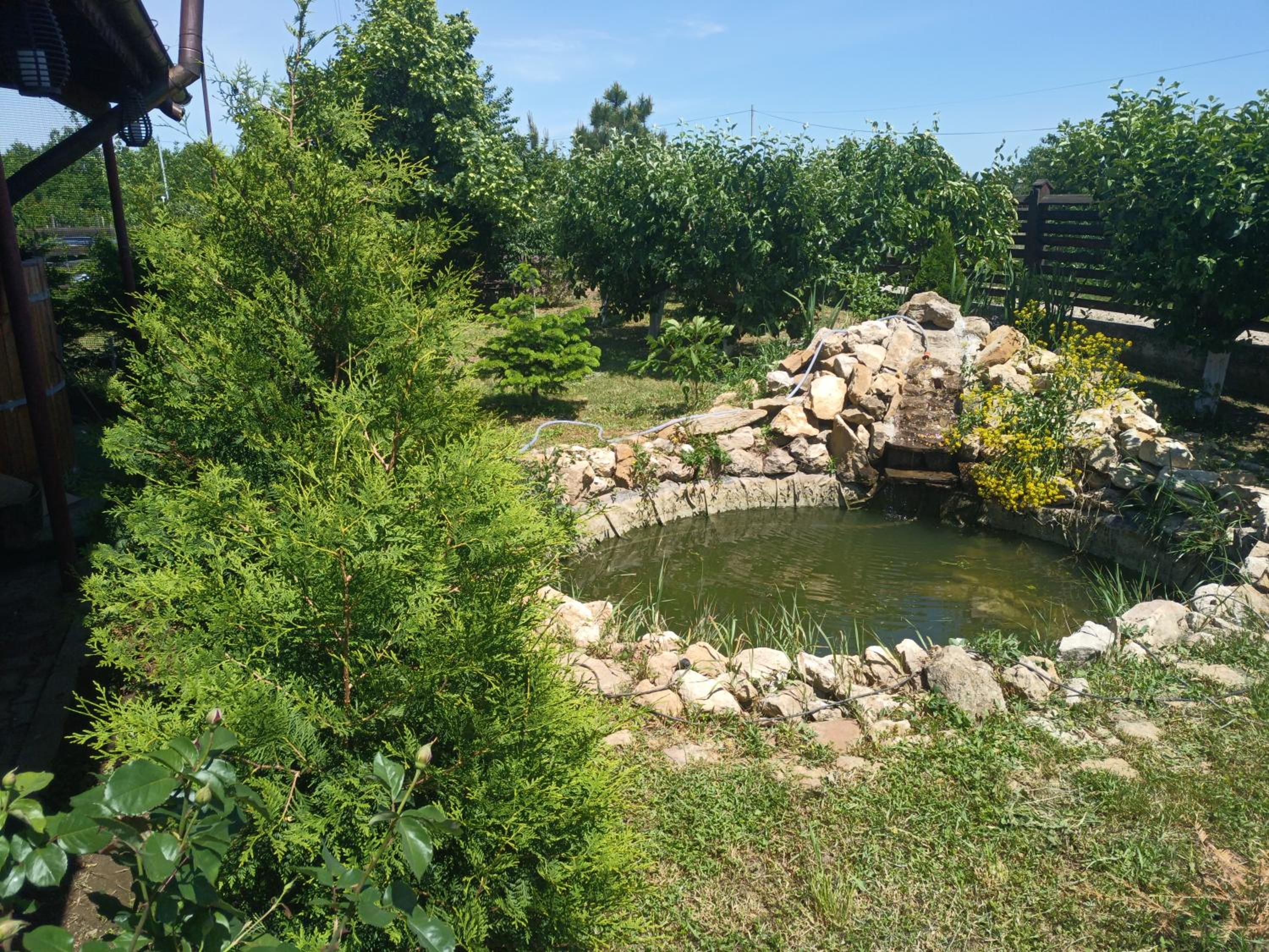 Photo 16