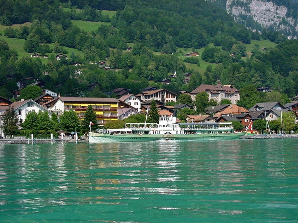 Seehotel Bären view 5