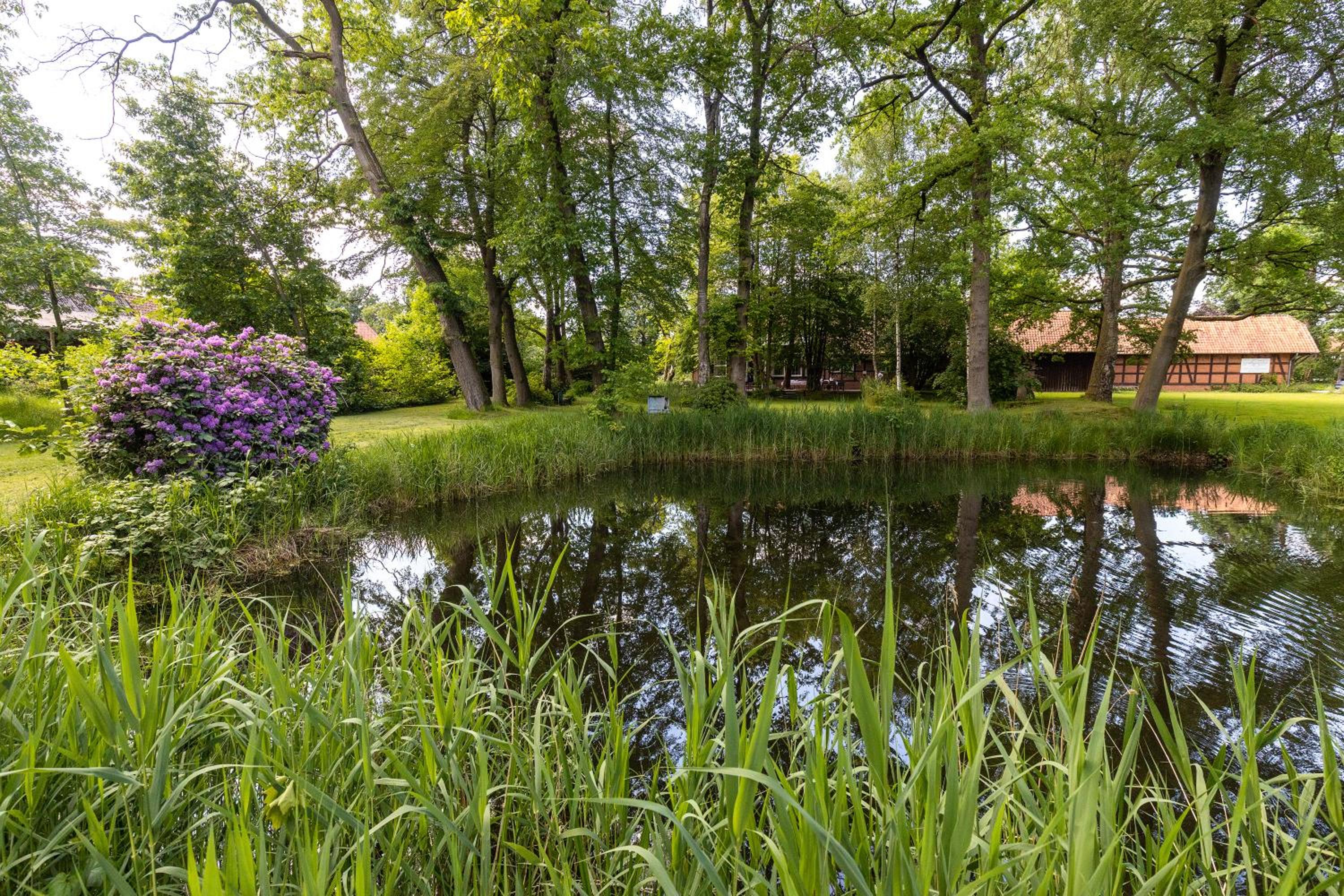Landhotel Gutshof im Oertzetal in Oldendorf, Sudheide - Property Image 32