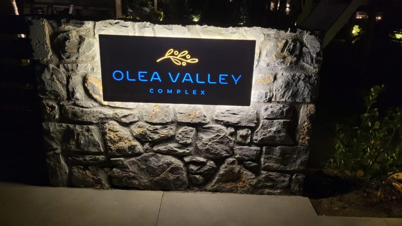 Luxury Apartment Nikiti Olea Valley view 4