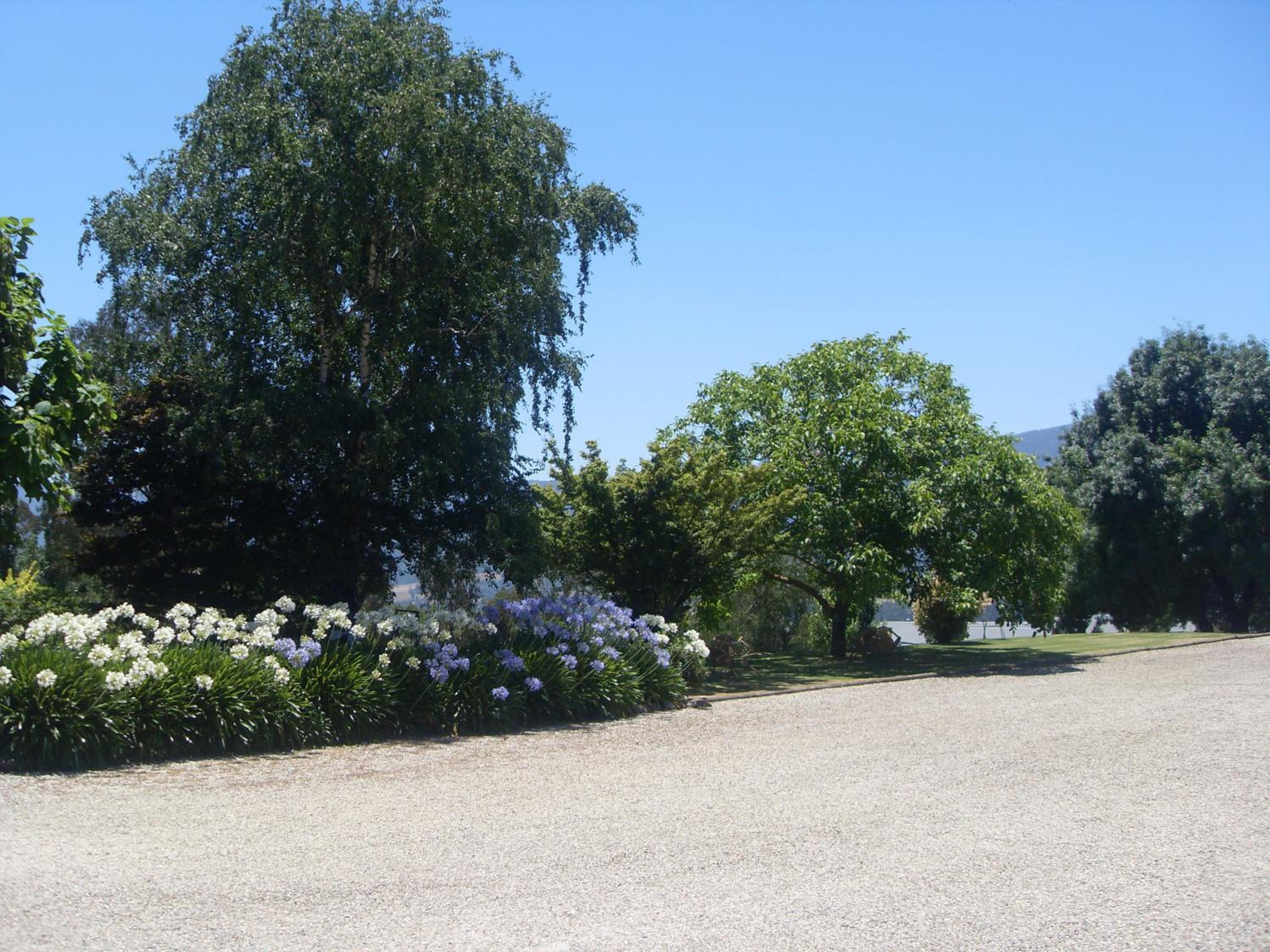 Allamar Motel