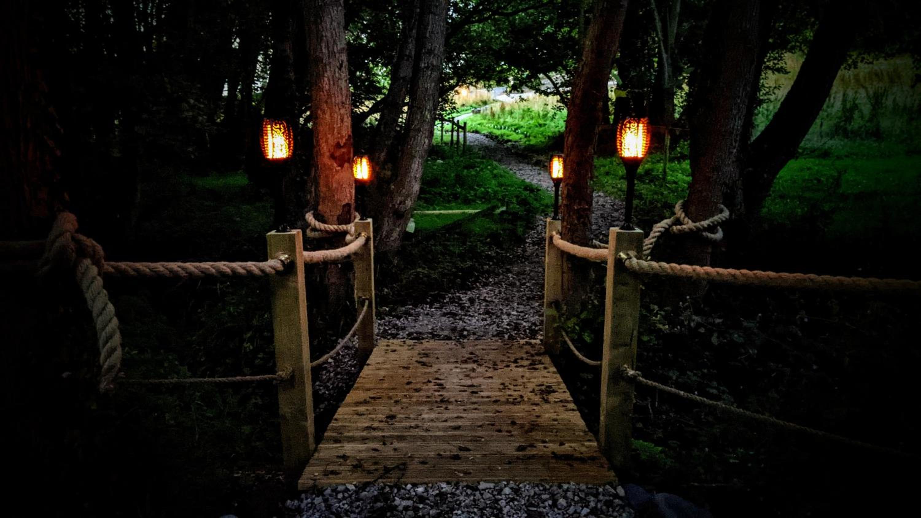 Emlyn's Coppice - Luxury Woodland Glamping view 3