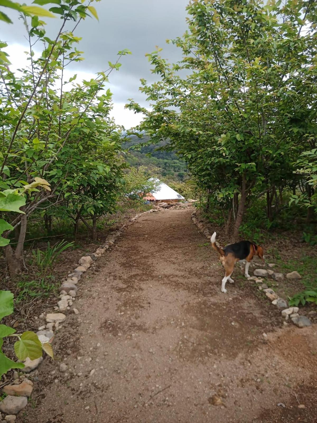 Sustainable, Off-Grid and Organic Cabins on a Farm in a Secluded Cloud Forest, Ultra Low Carbon Footprint, 4x4