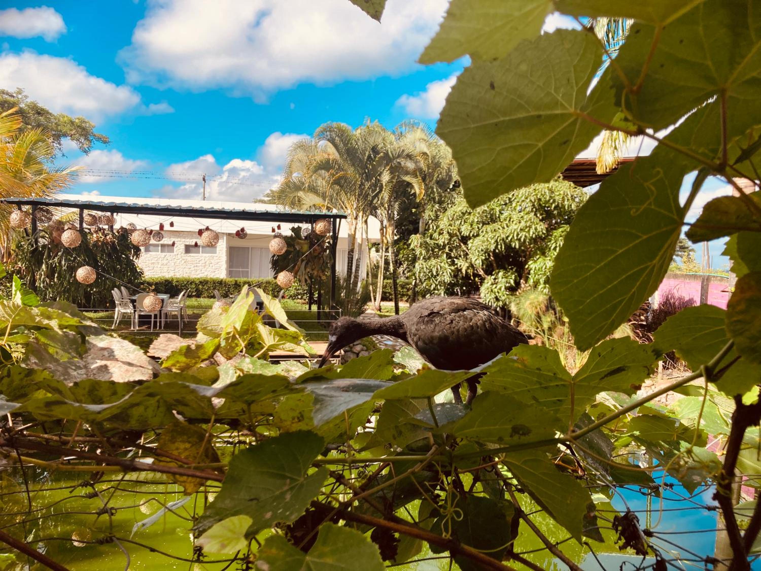 VILLA CRISTAL