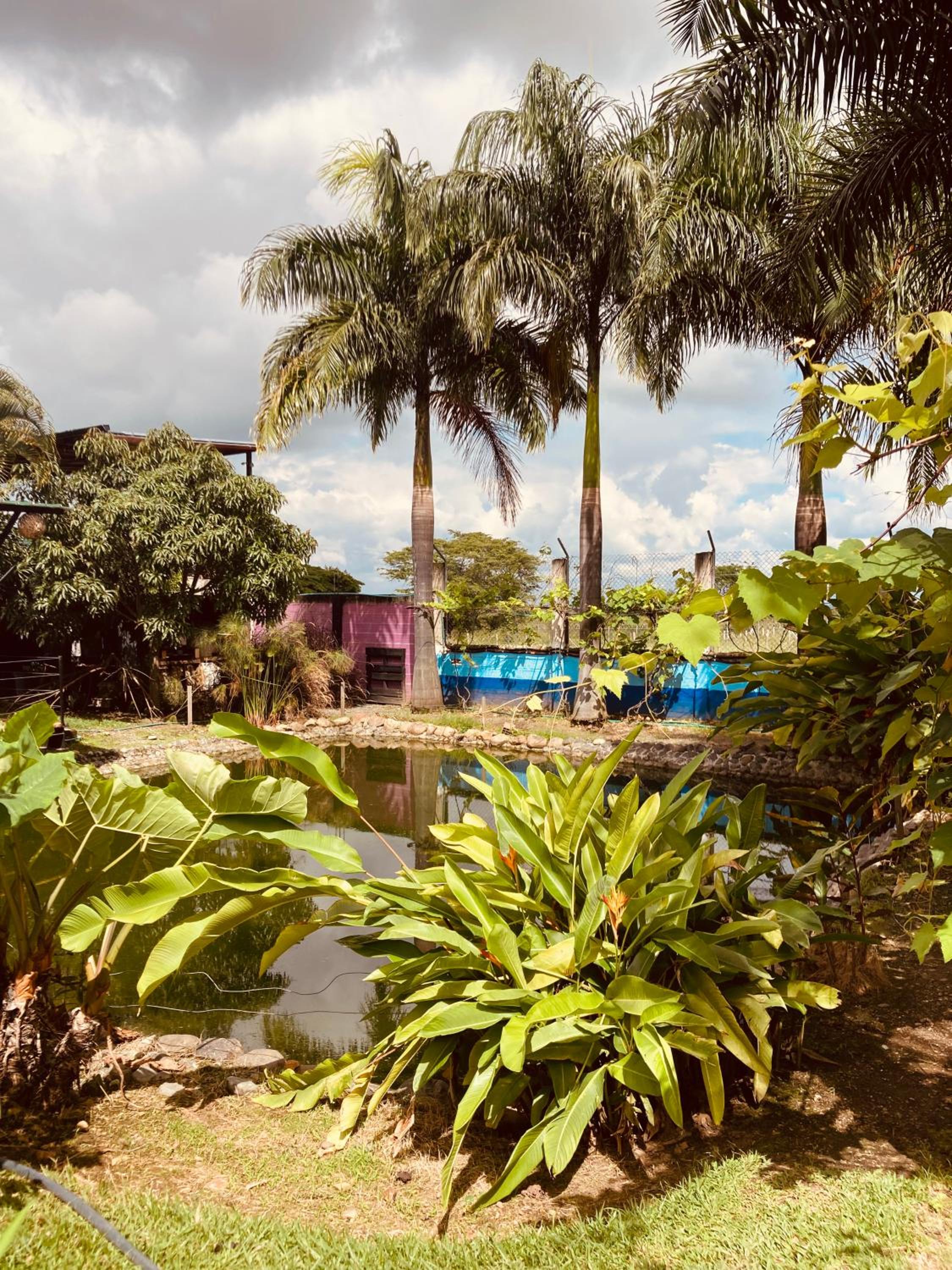VILLA CRISTAL