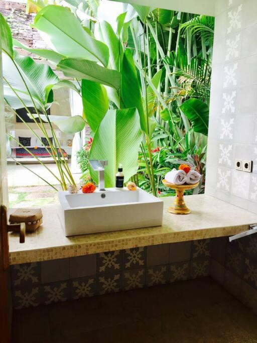 Elegant Villa Casabianca - Tropical Pool & Garden, Near Potato Head Beach Club!