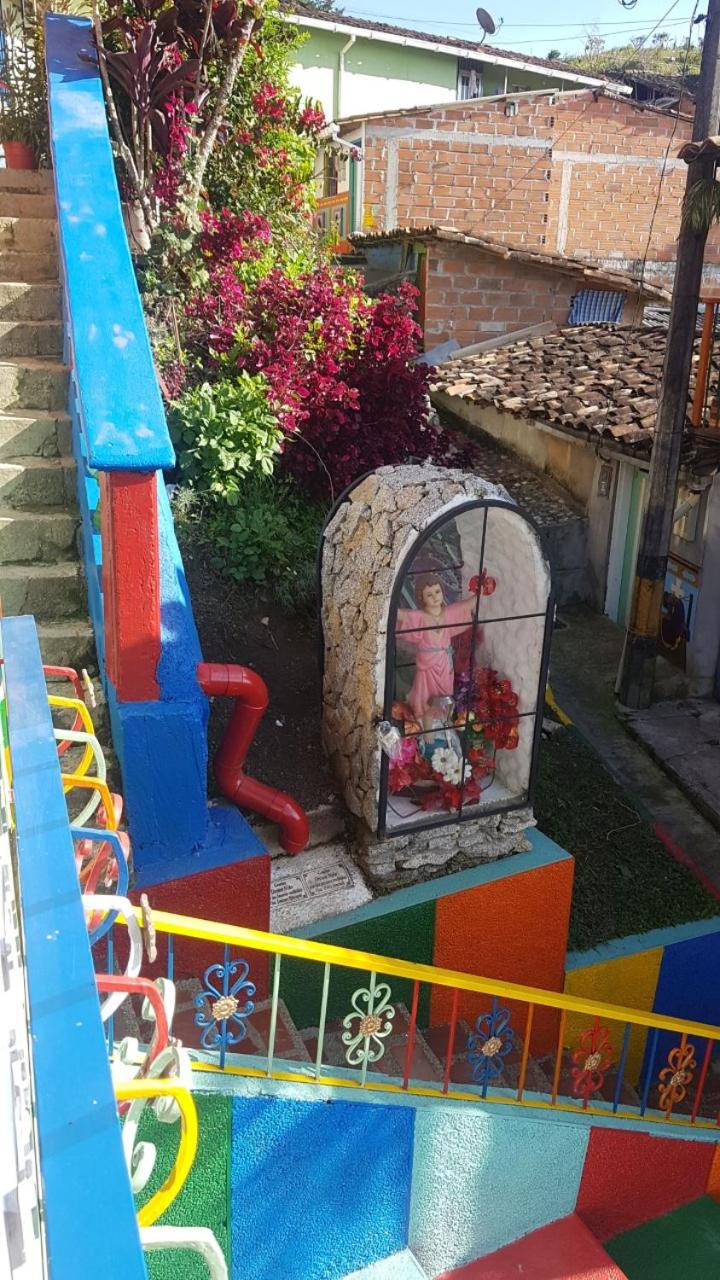 Photo 15