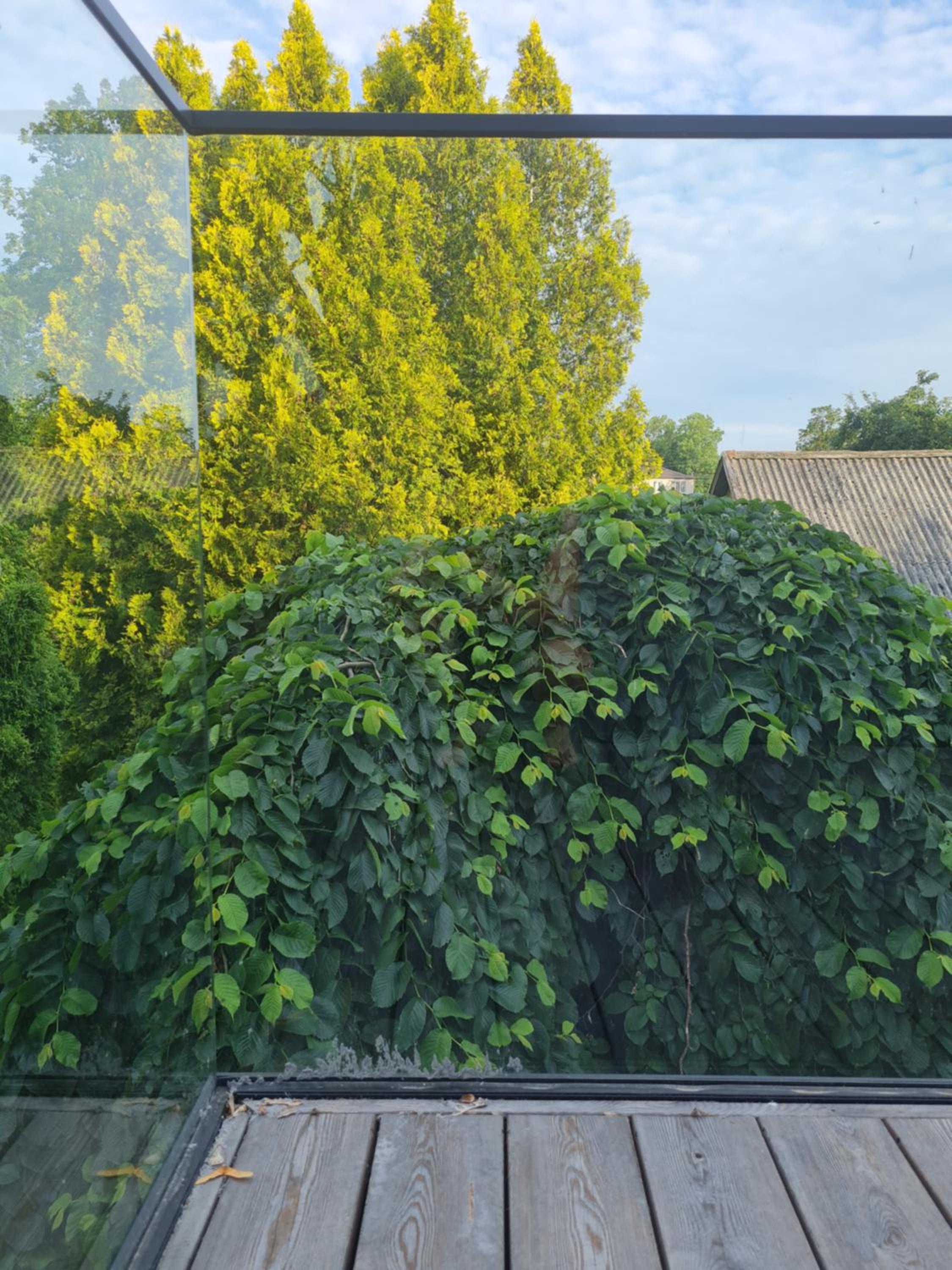 Photo 33