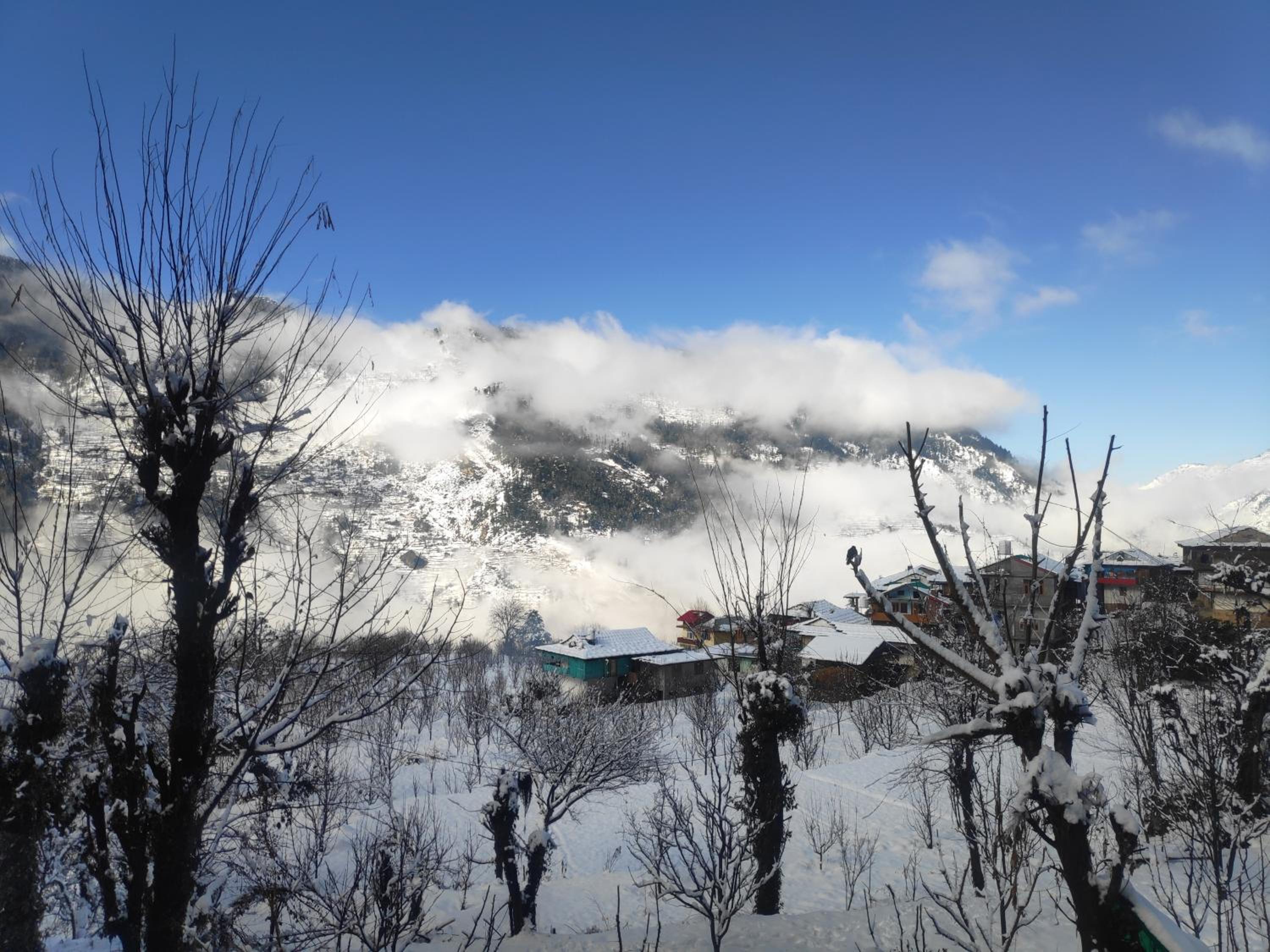 Rustic wood house - A village home stay in Jibhi Valley