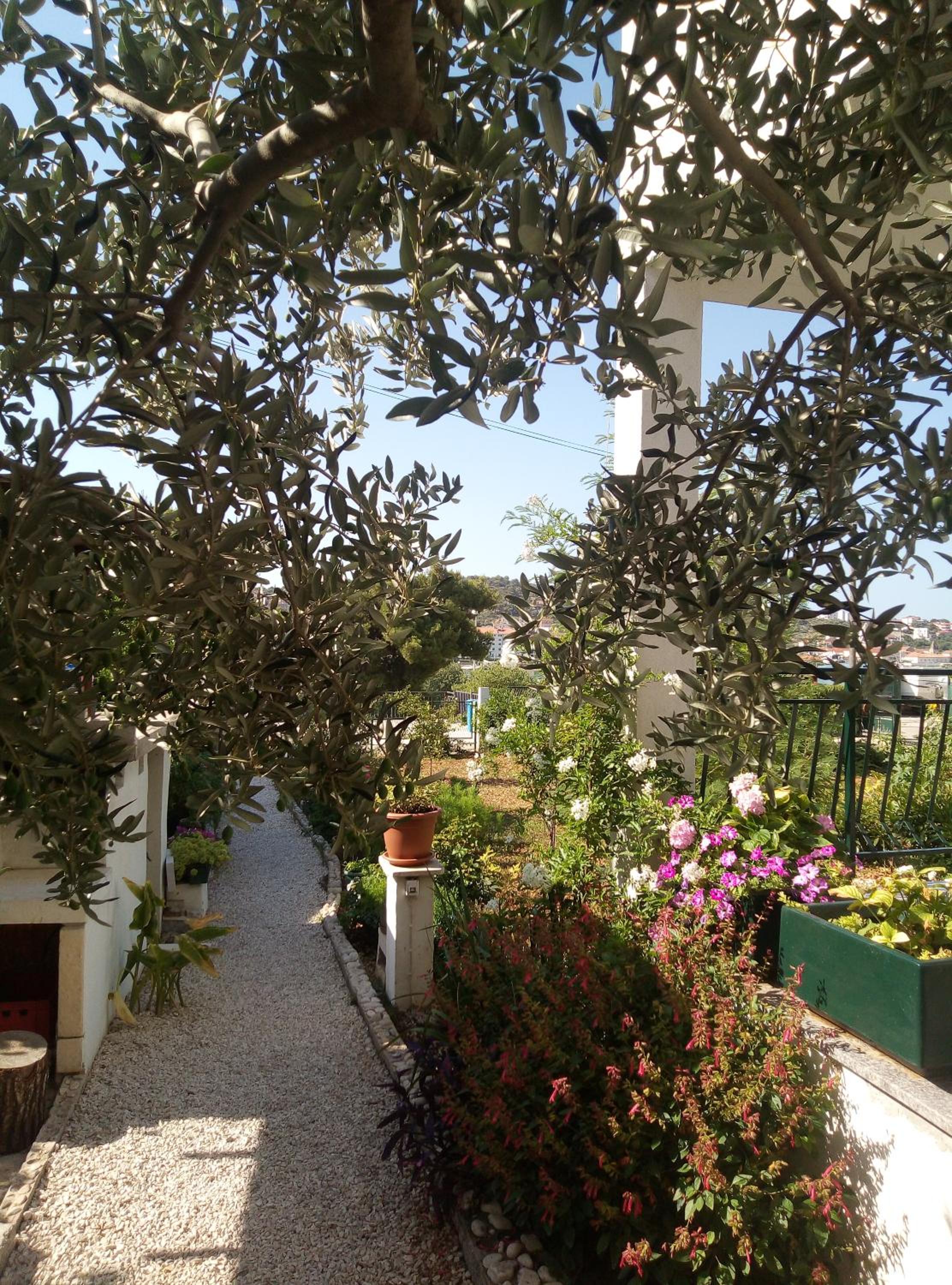 Photo 21
