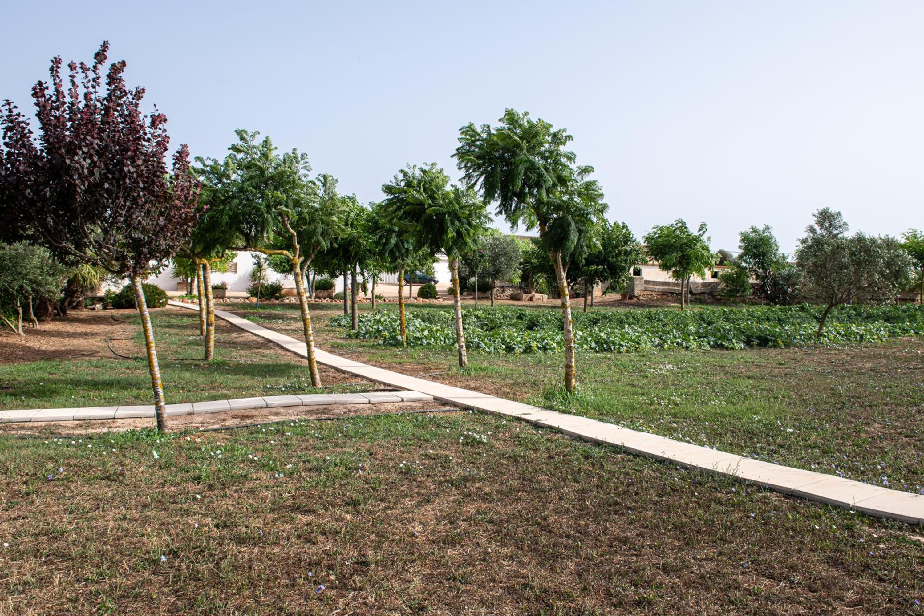 Agroturismo Son Juaneda
