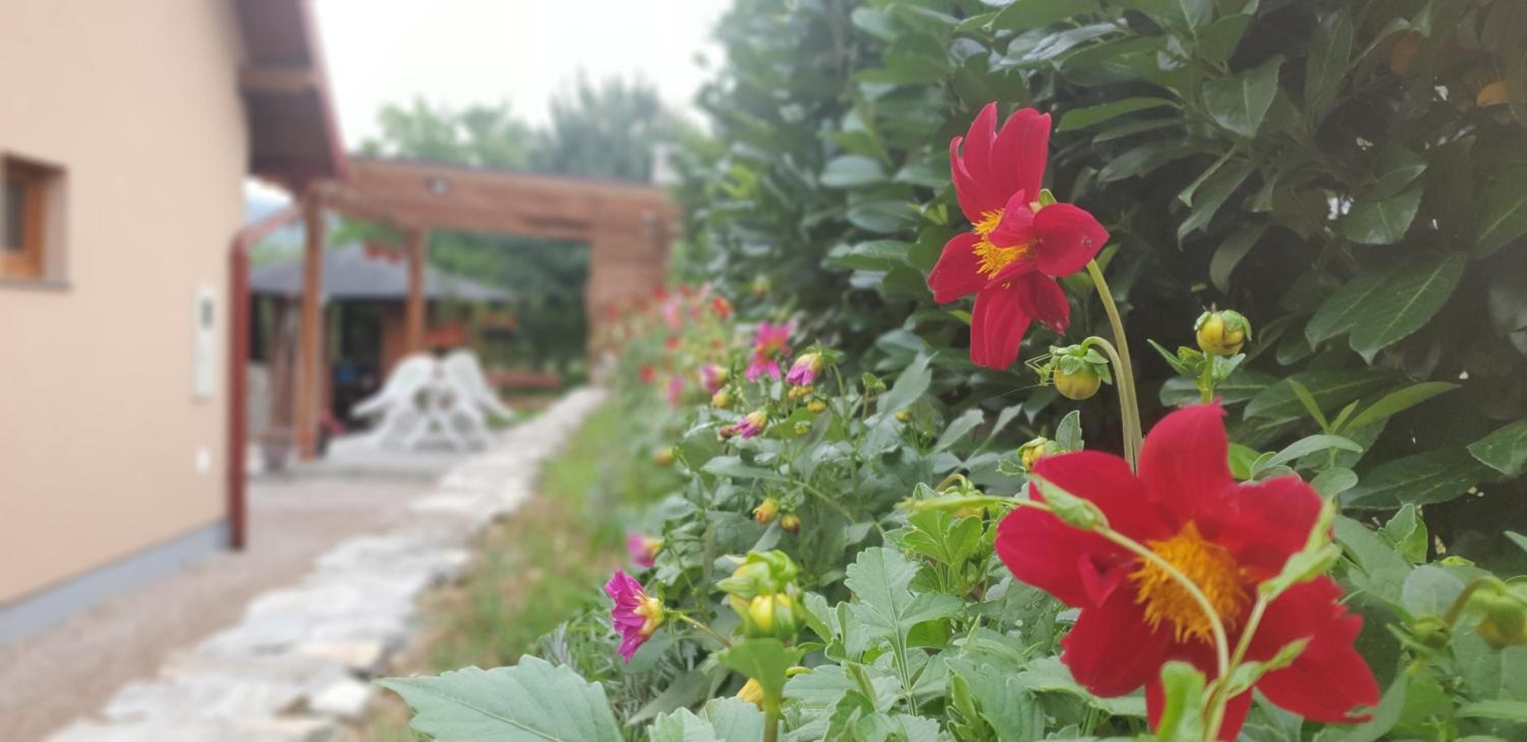 Green Garden Lohovo