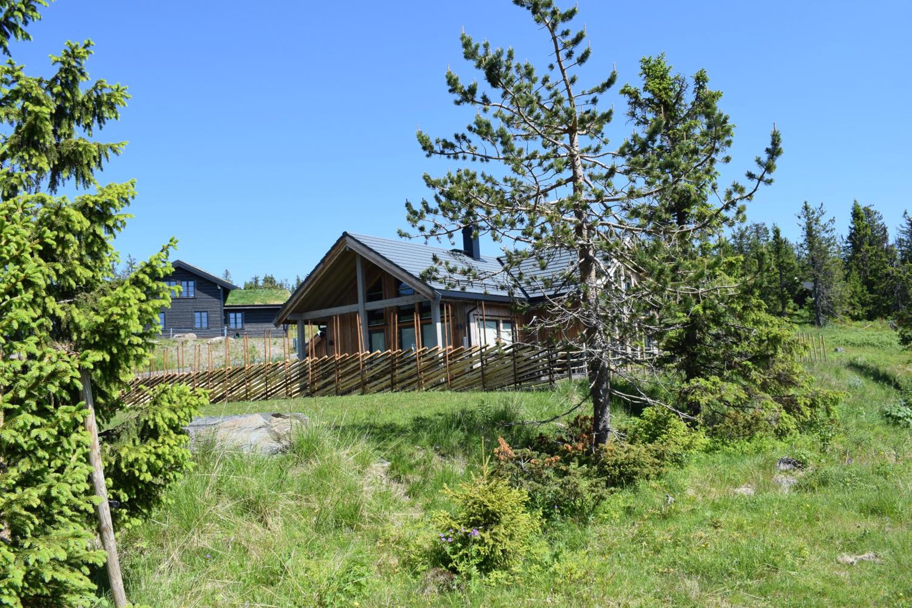 Photo 10