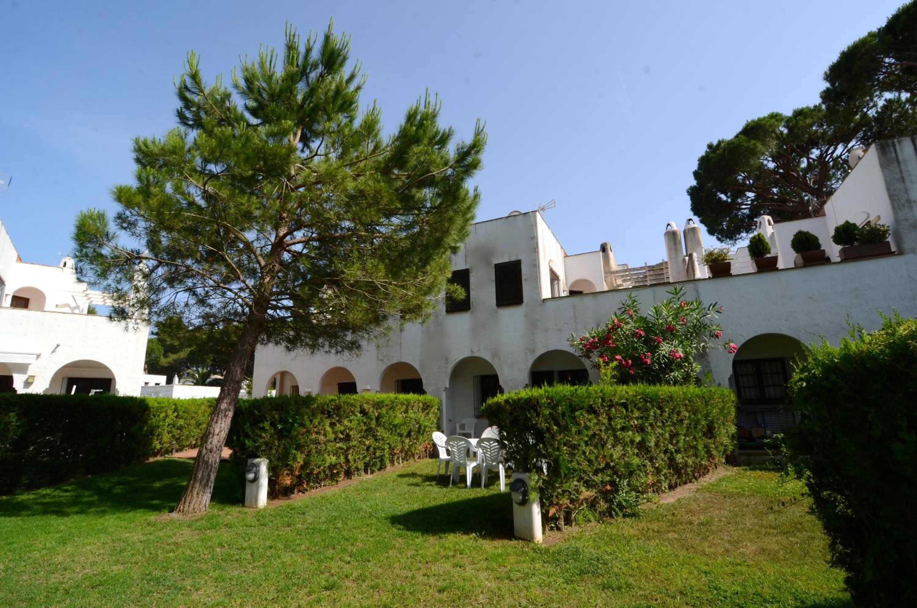 Photo 43