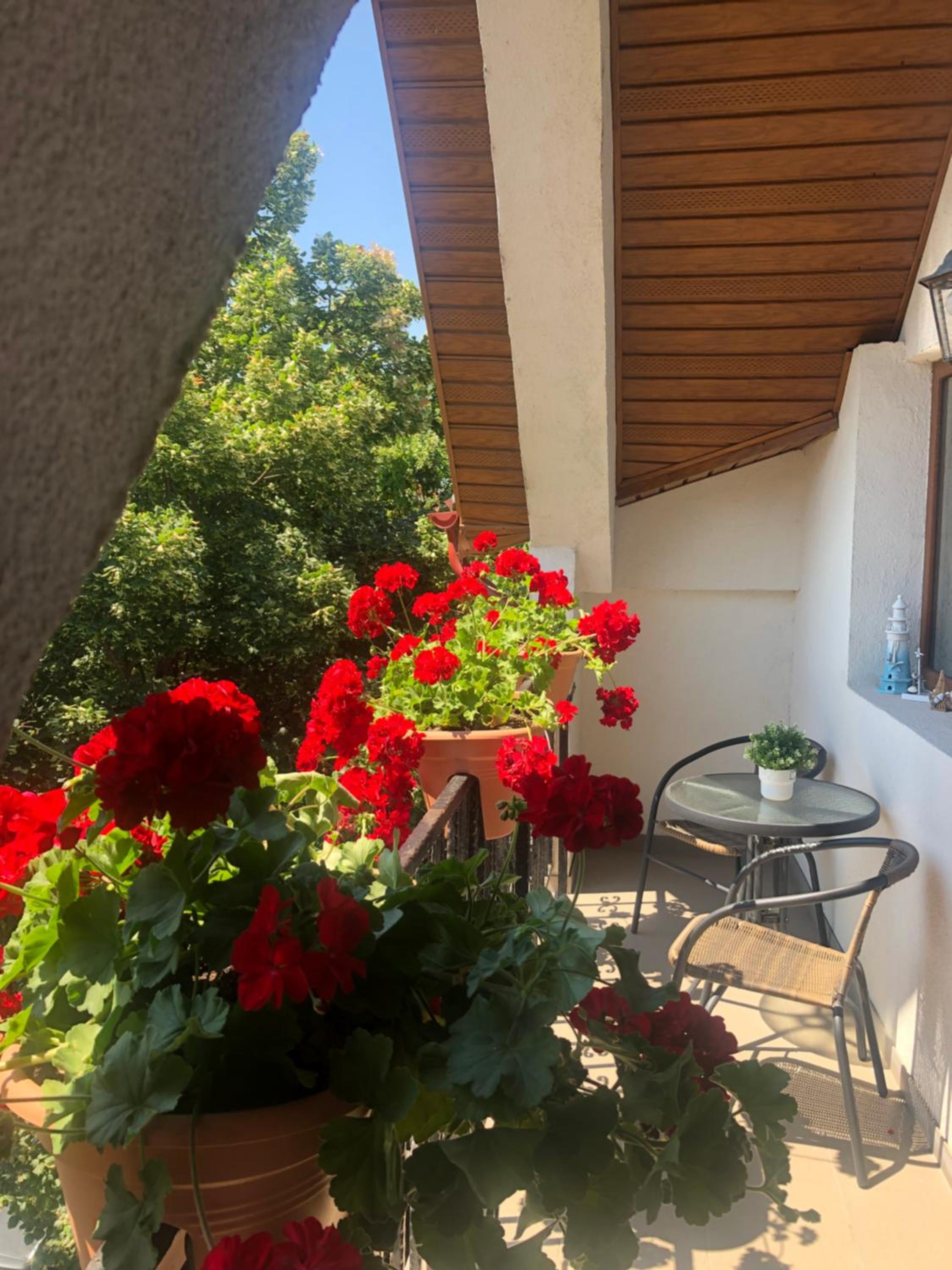 Vila Black Sea view 5