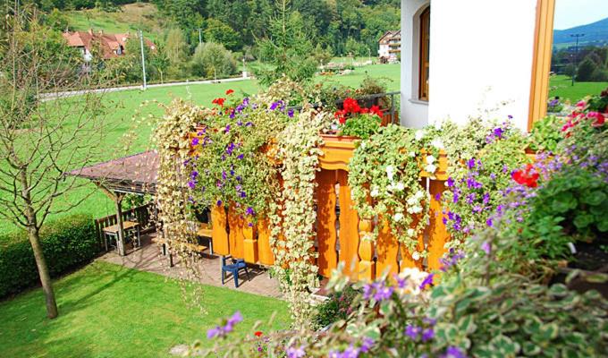 Pension Haus Rose