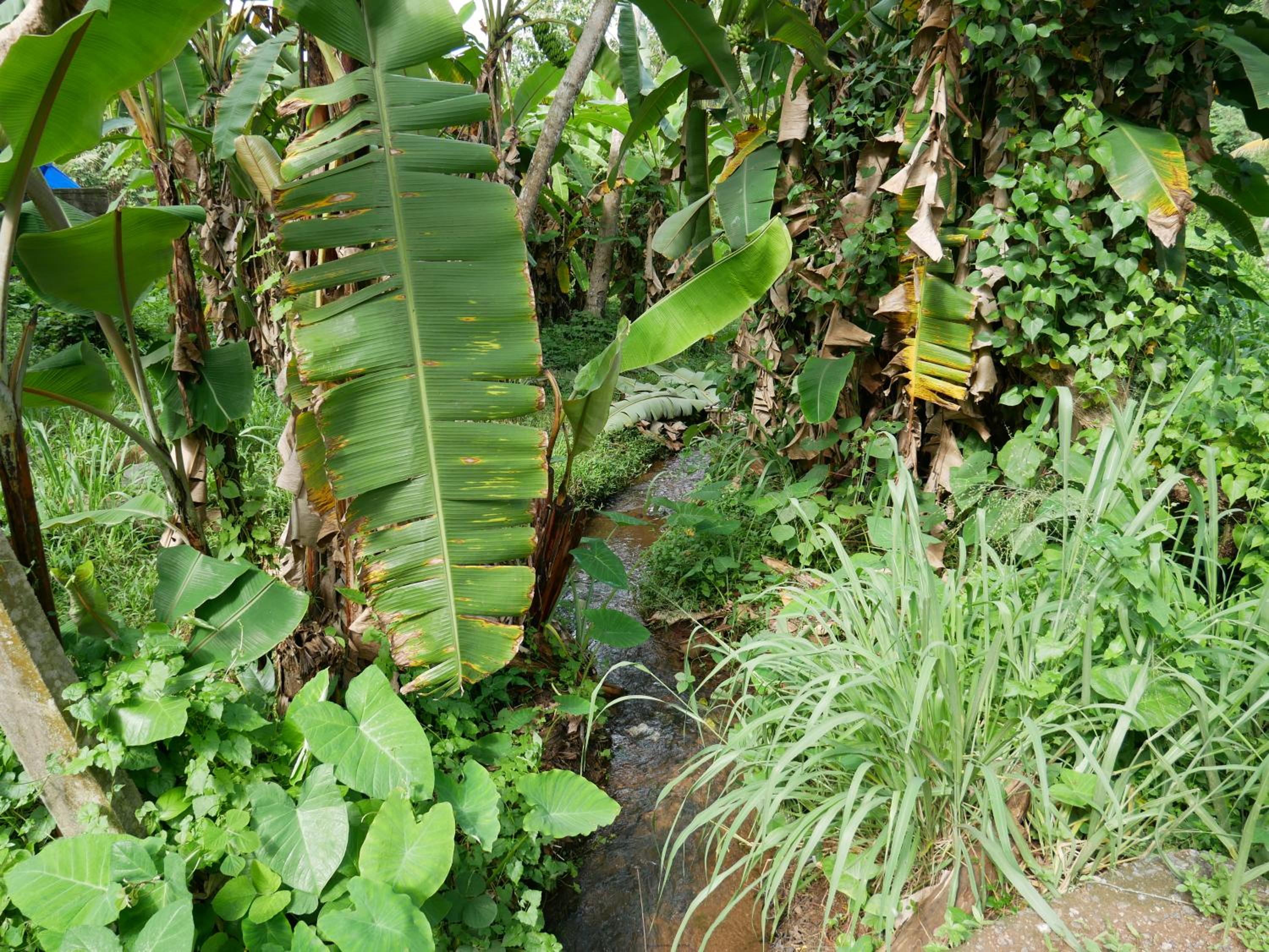 Photo 43