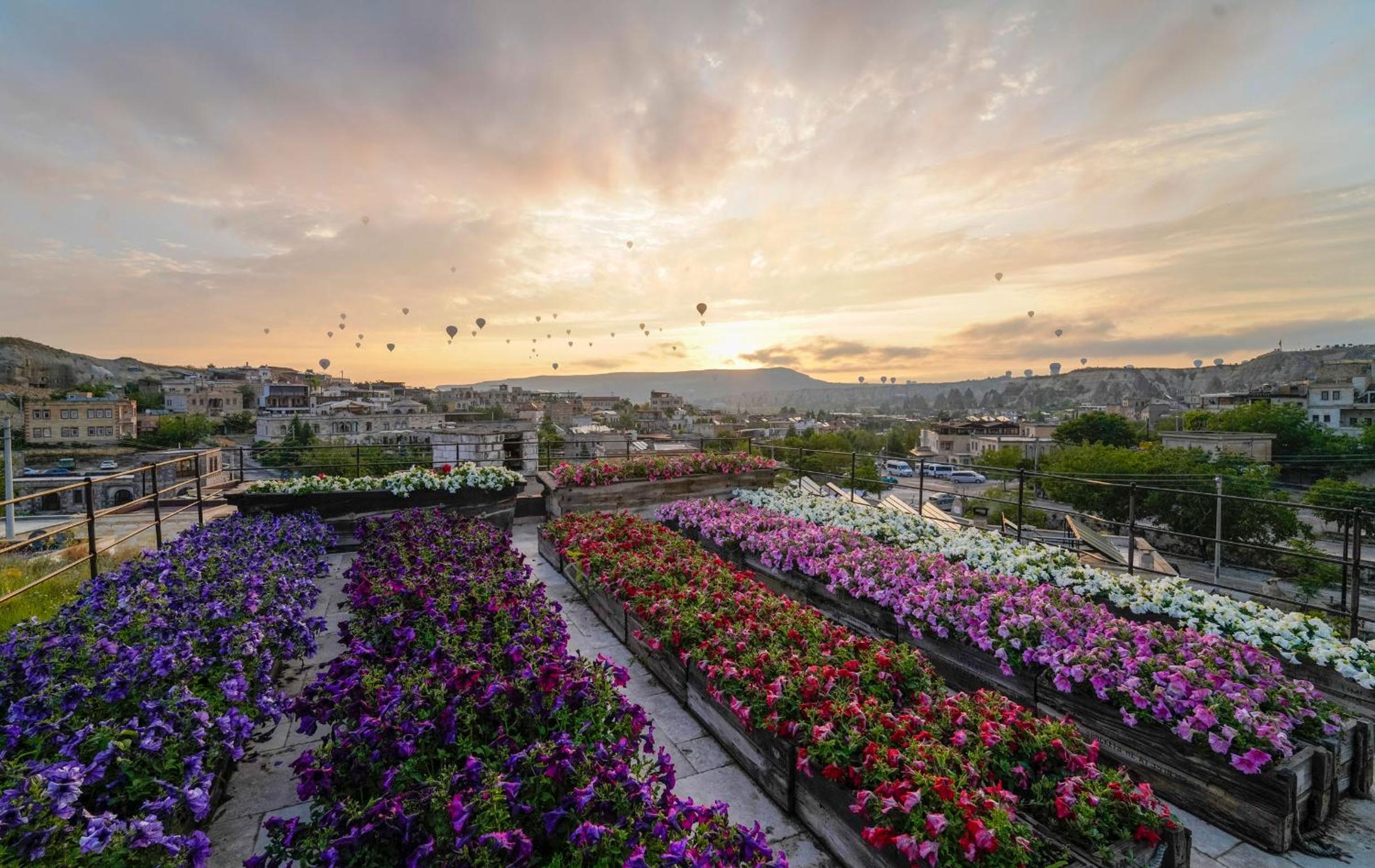 Design Cave Otel - Image 17