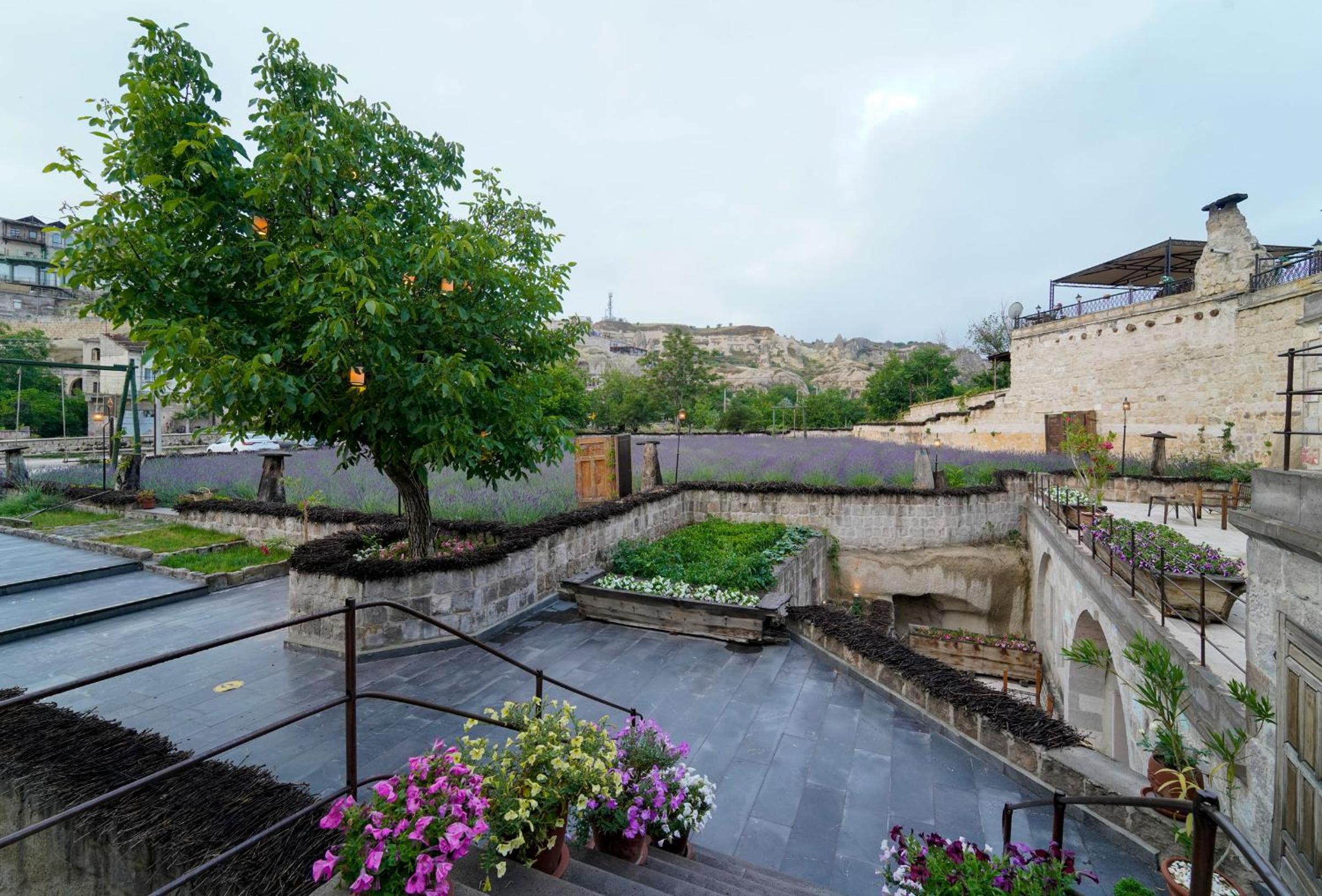 Design Cave Otel - Image 22