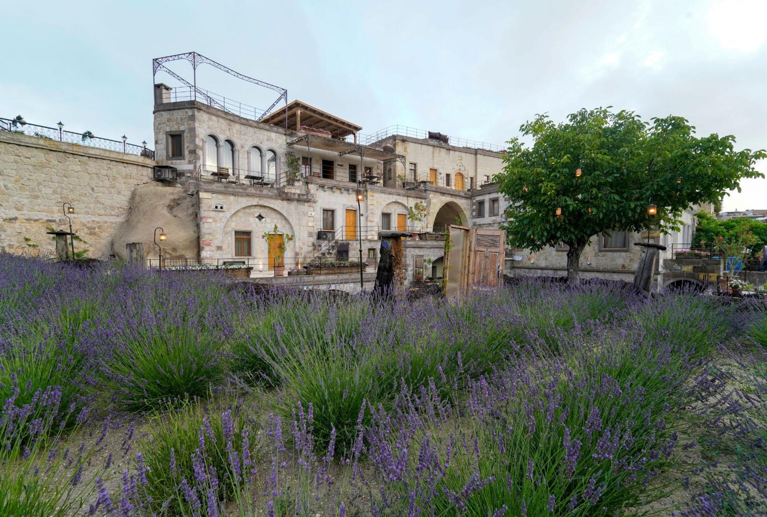 Design Cave Otel - Image 44