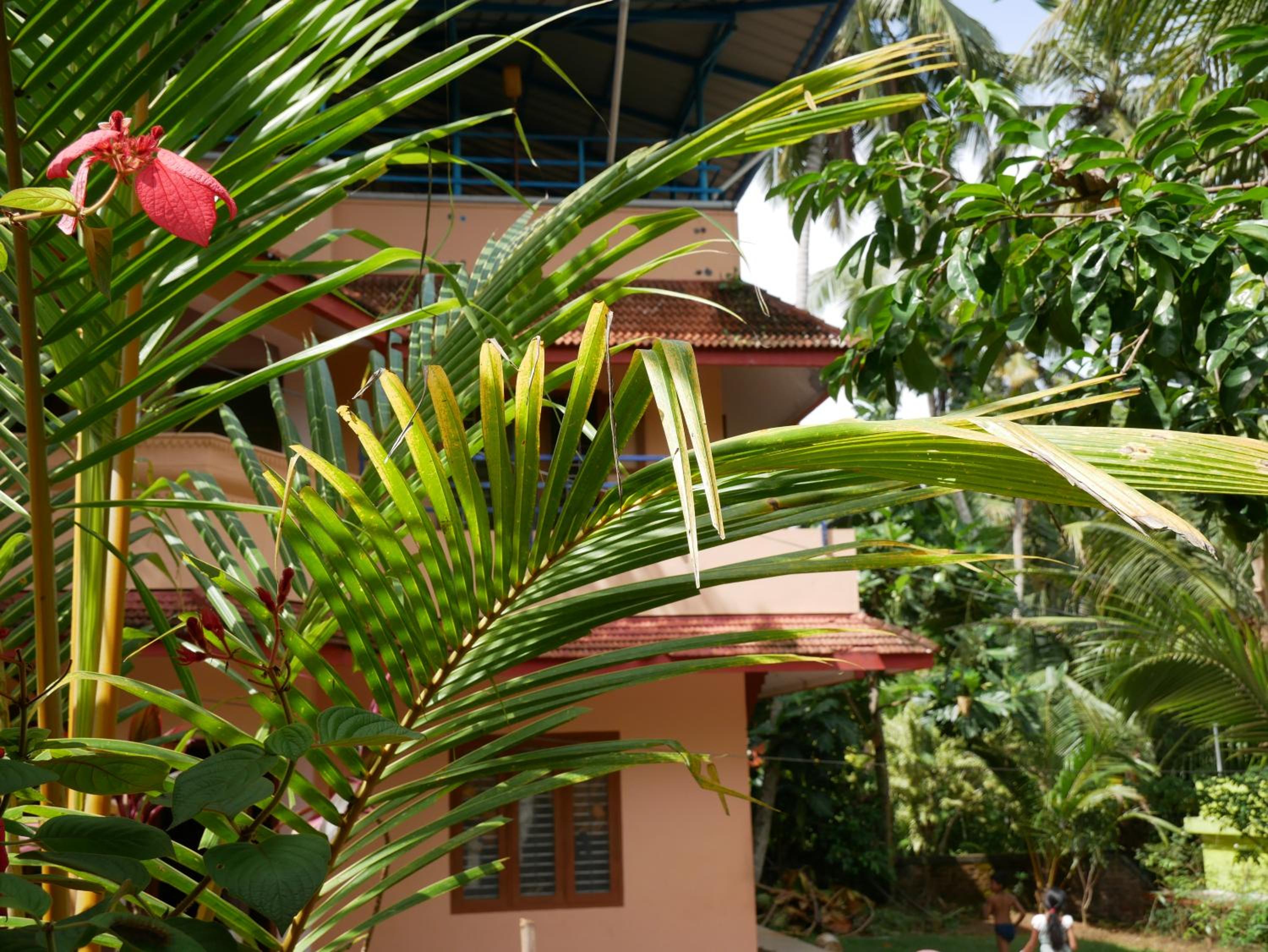 Padmini House view 5