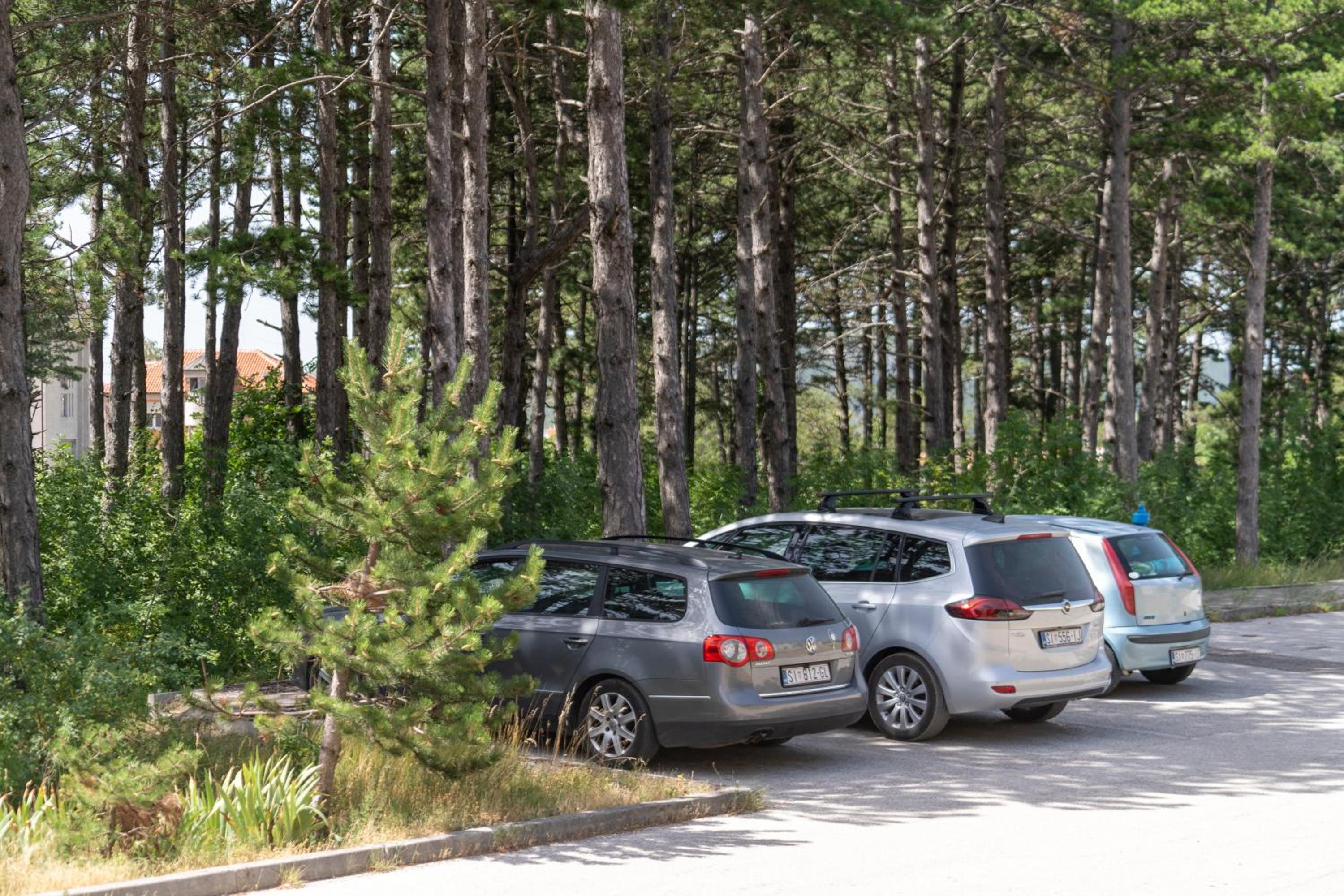 Apartman Čurčić view 4