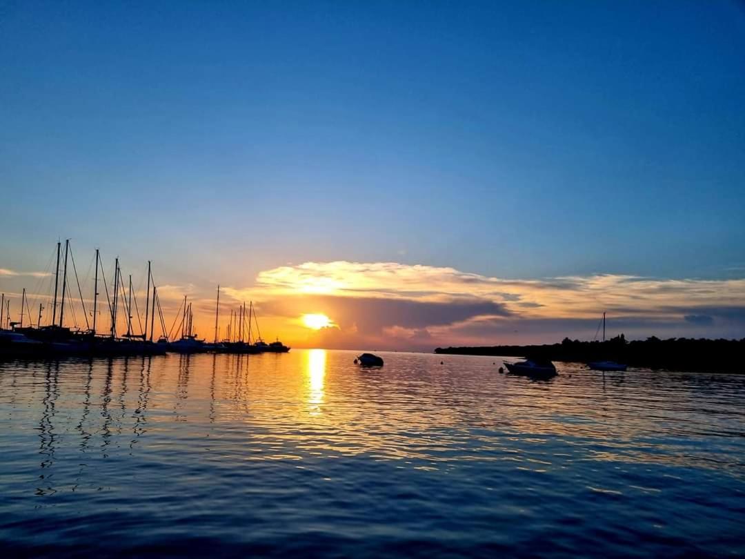 Apartman Teo - Property Image 2