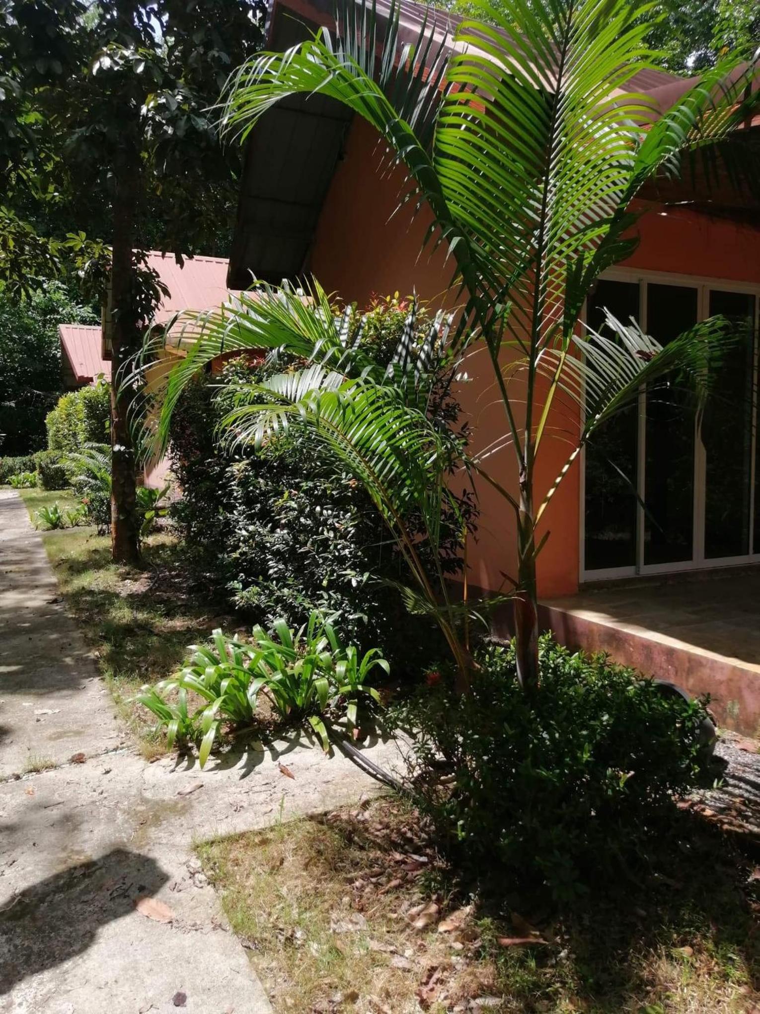 Photo 23