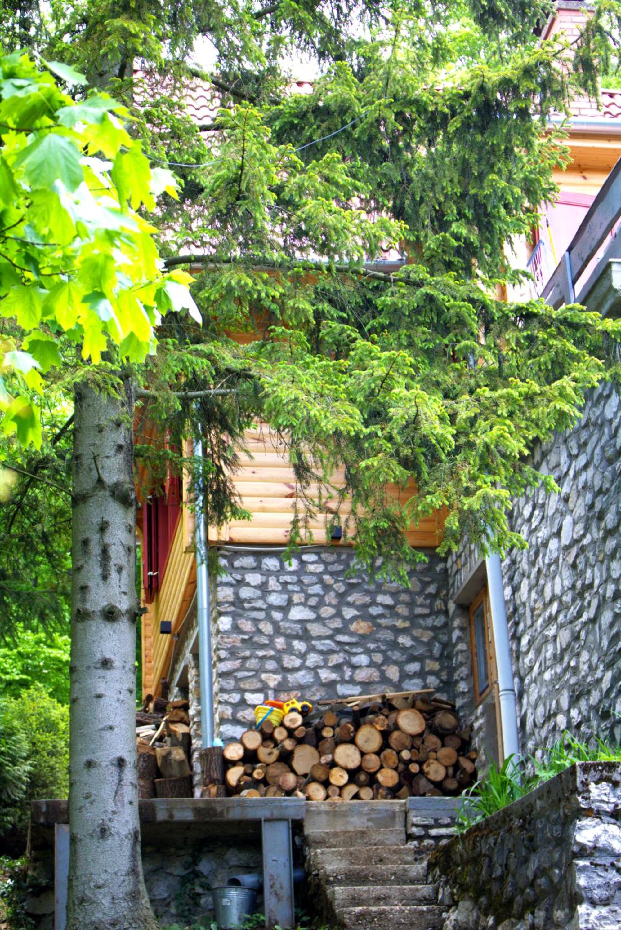 Lili's Lovely Log Home in the Forest view 5