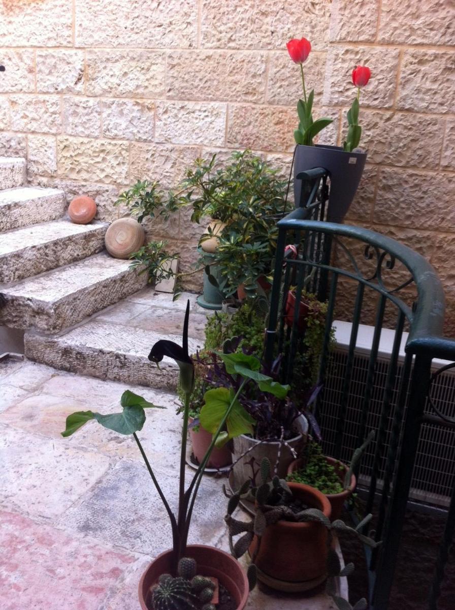 Photo 31